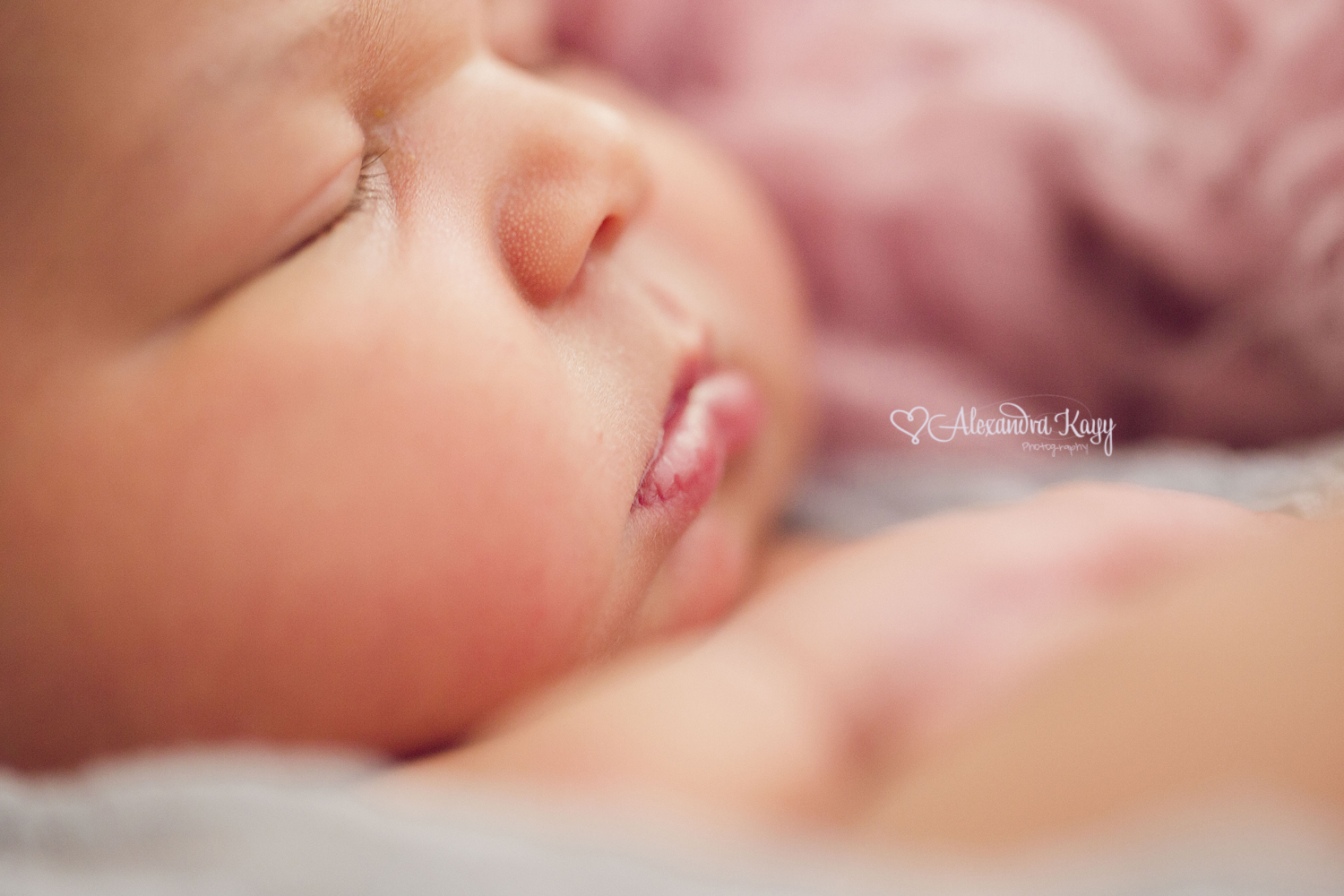 Newborn Portraits Phoenix AZ Newborn Photographer Alexandra Kayy Photography