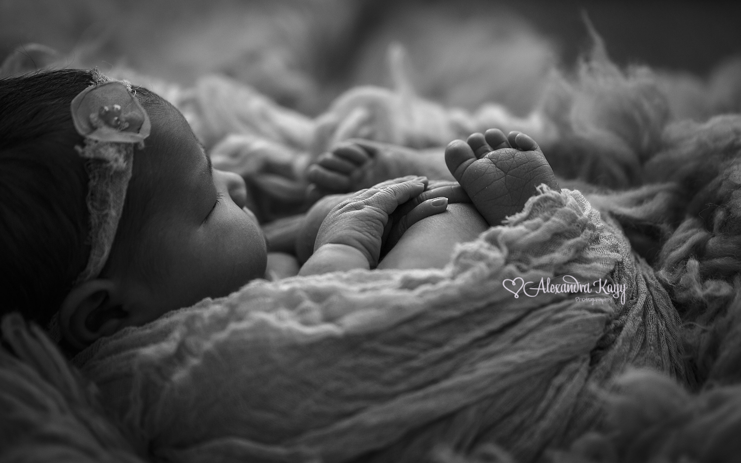 Newborn Portraits Phoenix AZ Newborn Photographer Alexandra Kayy Photography