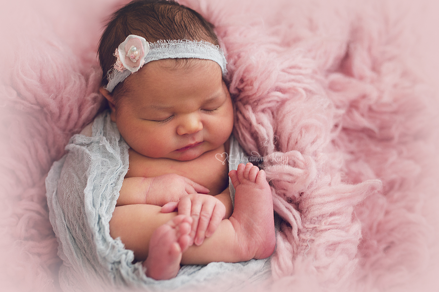 Newborn Portraits Phoenix AZ Newborn Photographer Alexandra Kayy Photography