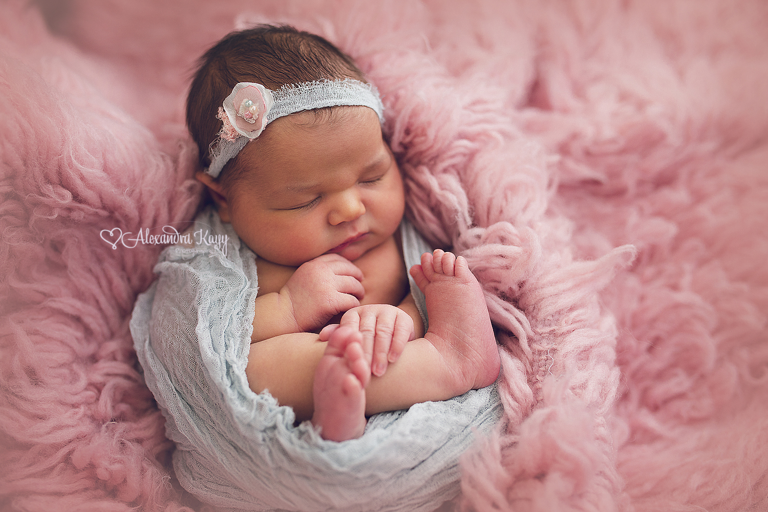 Newborn Portraits Phoenix AZ Newborn Photographer Alexandra Kayy Photography