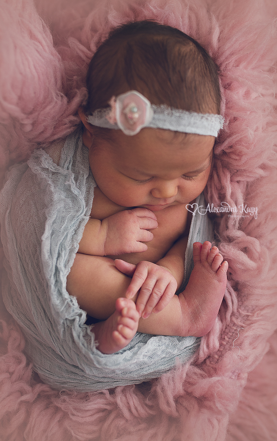 Newborn Portraits Phoenix AZ Newborn Photographer Alexandra Kayy Photography