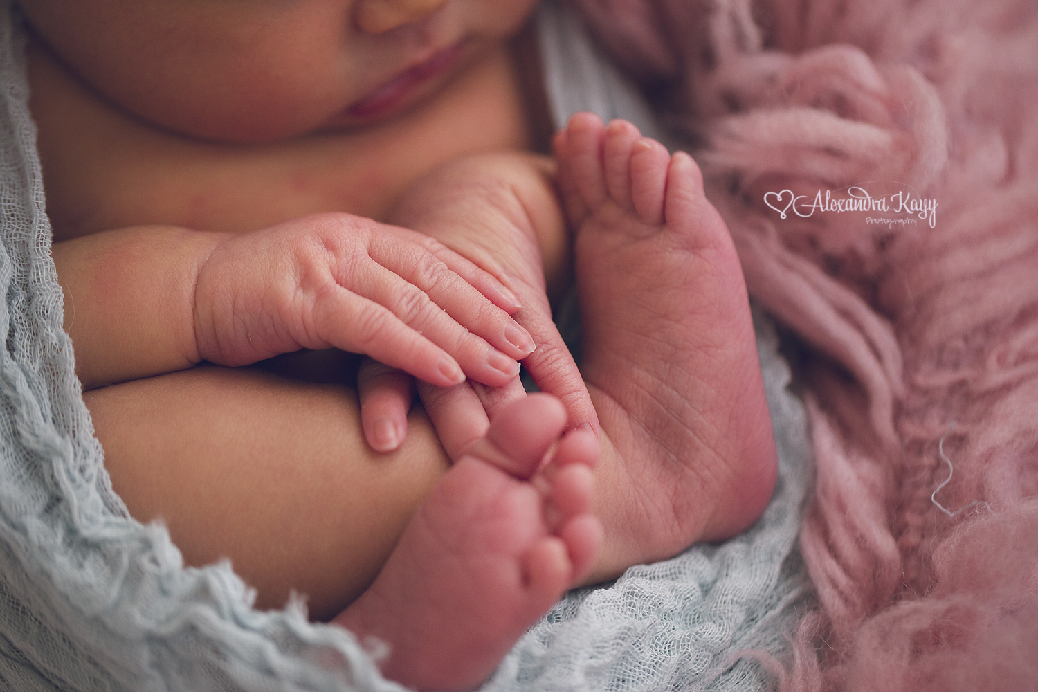 Newborn Portraits Phoenix AZ Newborn Photographer Alexandra Kayy Photography