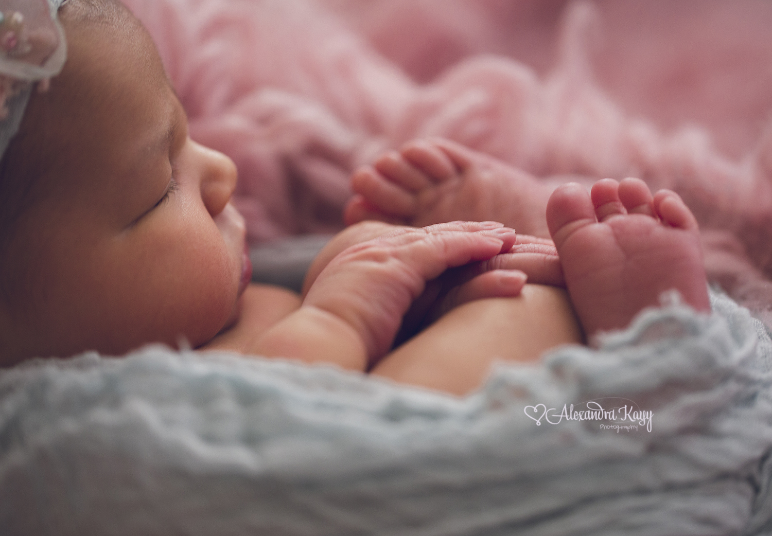 Newborn Portraits Phoenix AZ Newborn Photographer Alexandra Kayy Photography