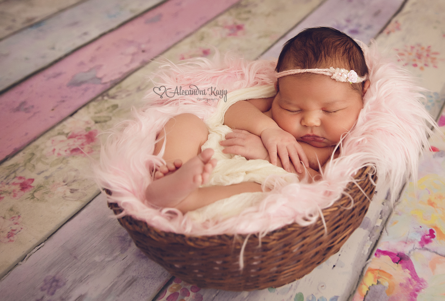 Newborn Portraits Phoenix AZ Newborn Photographer Alexandra Kayy Photography