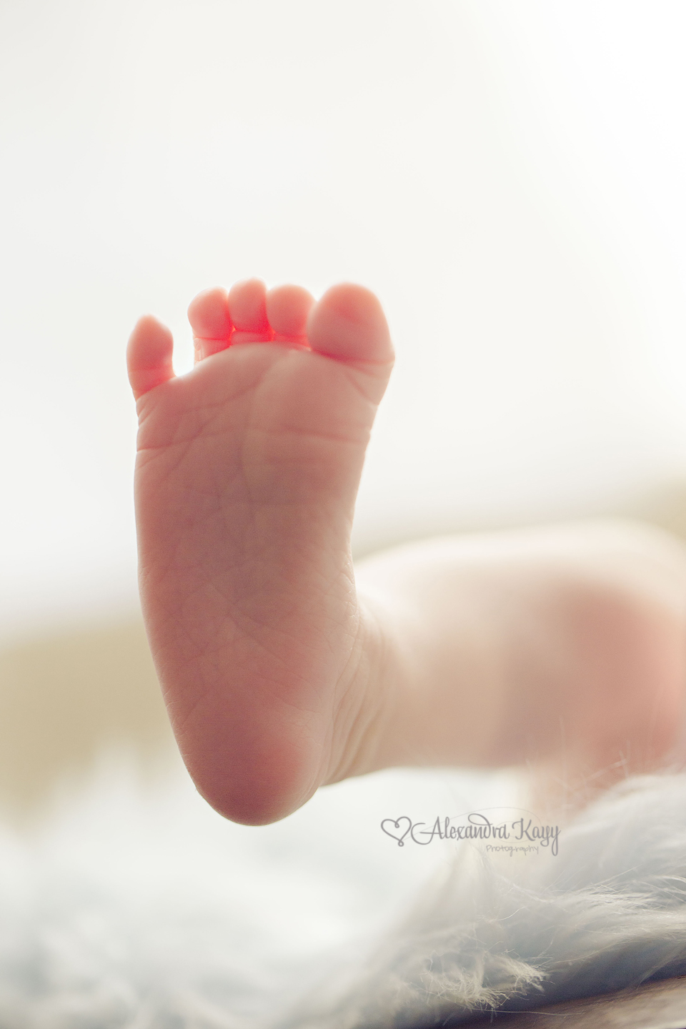 West Hills Newborn Photographer