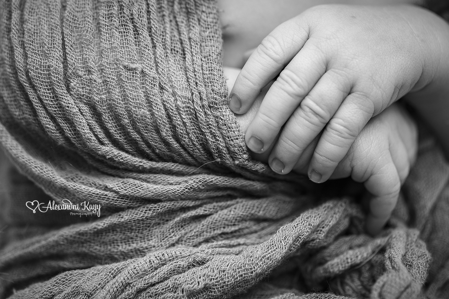 West Hills Newborn Photographer