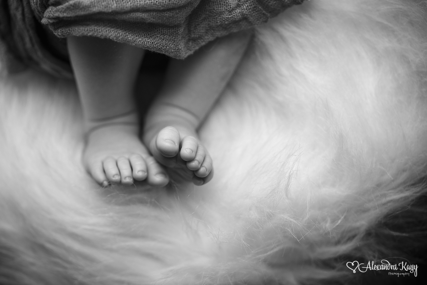 West Hills Newborn Photographer