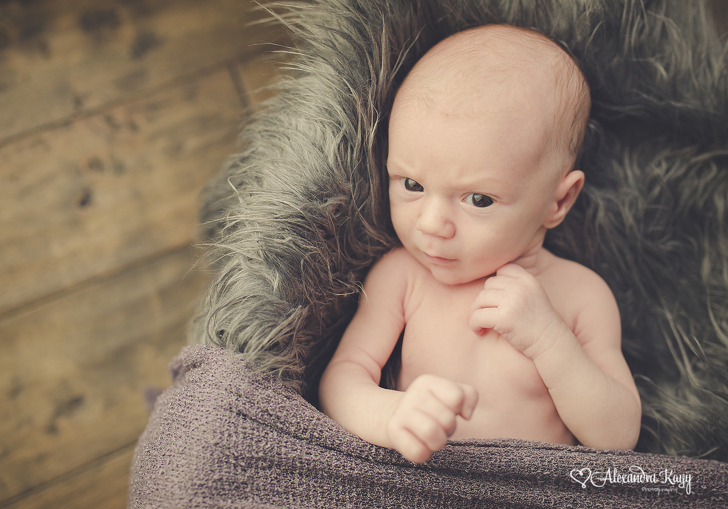 West Hills Newborn Photographer