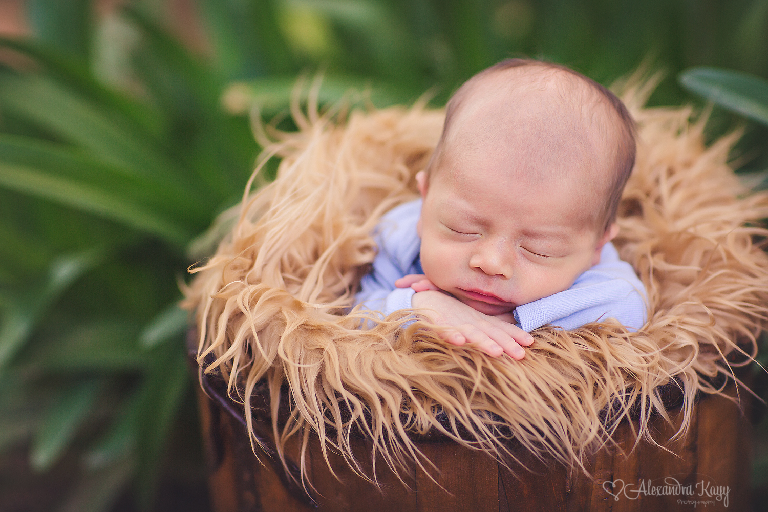 Ventura County Newborn Photographer Alexandra Kayy Photography