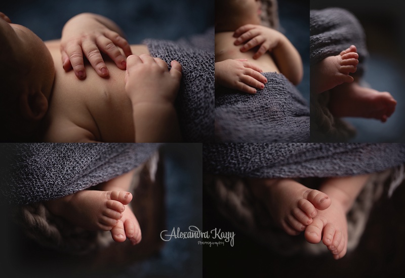 newborn portraits peoria arizona