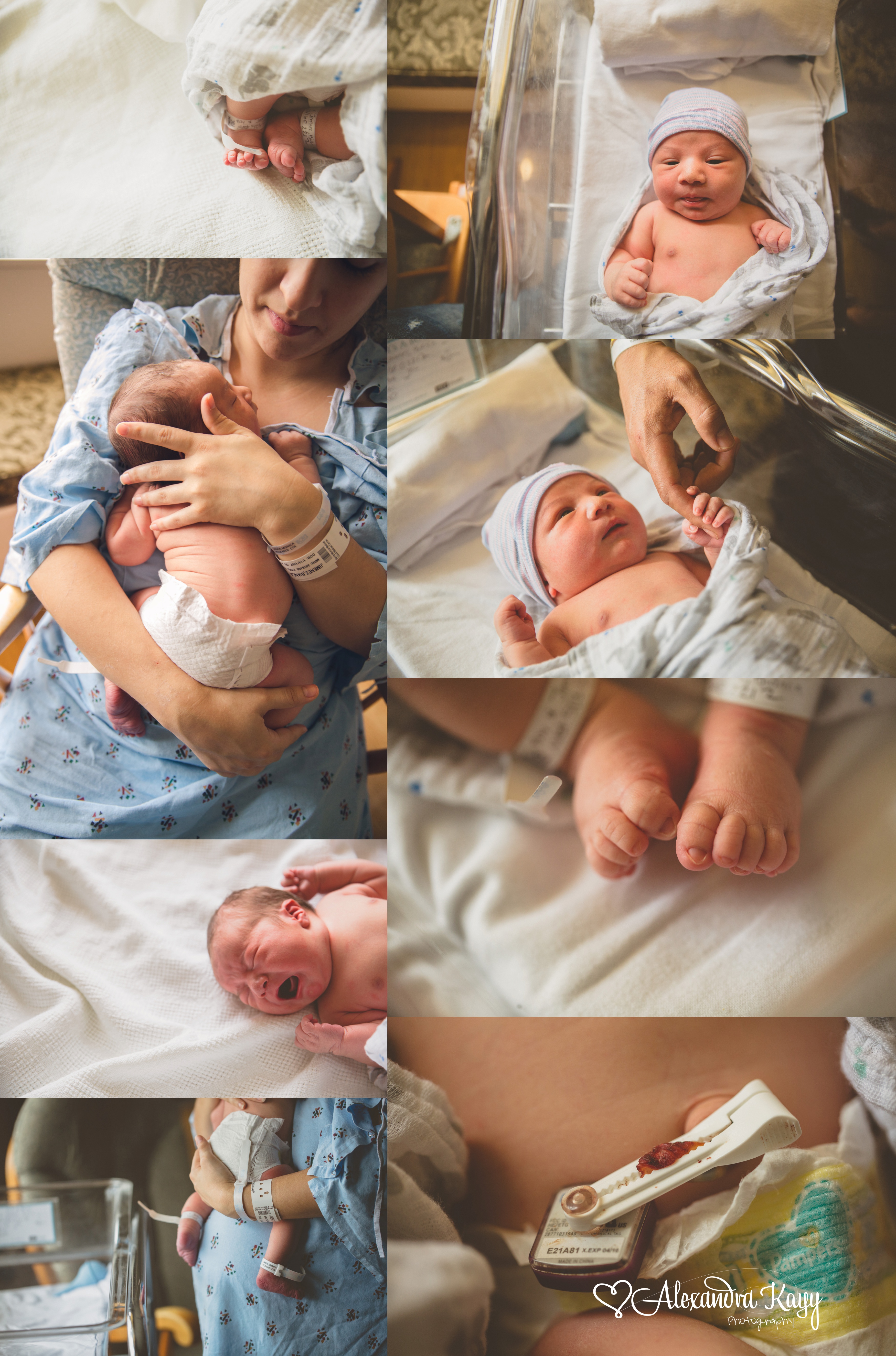 Santa Monica Newborn Photographer Alexandra Kayy Photography