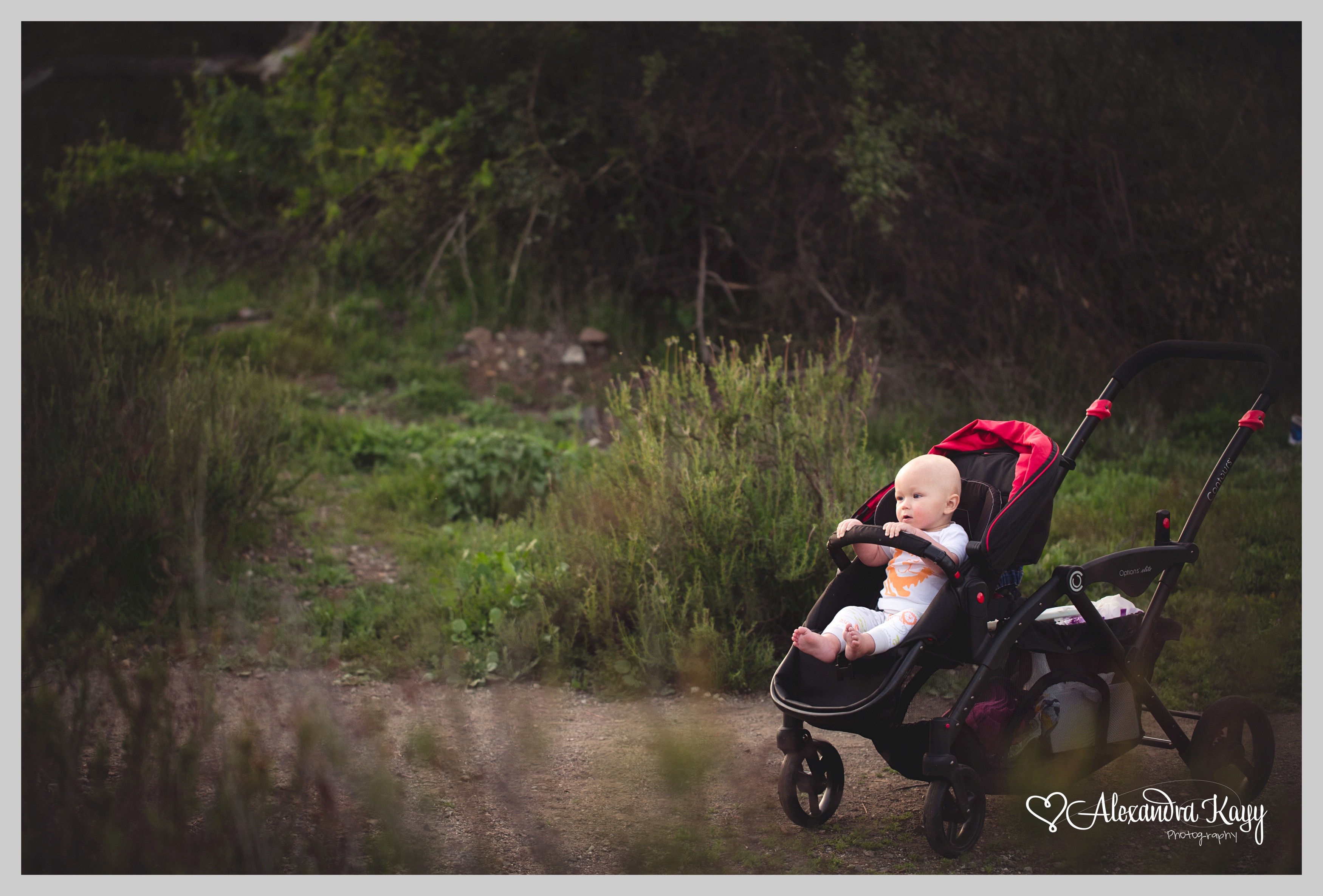 WestlakeFamilyPhotographer_AlexandraKayyPhotography_0077.jpg