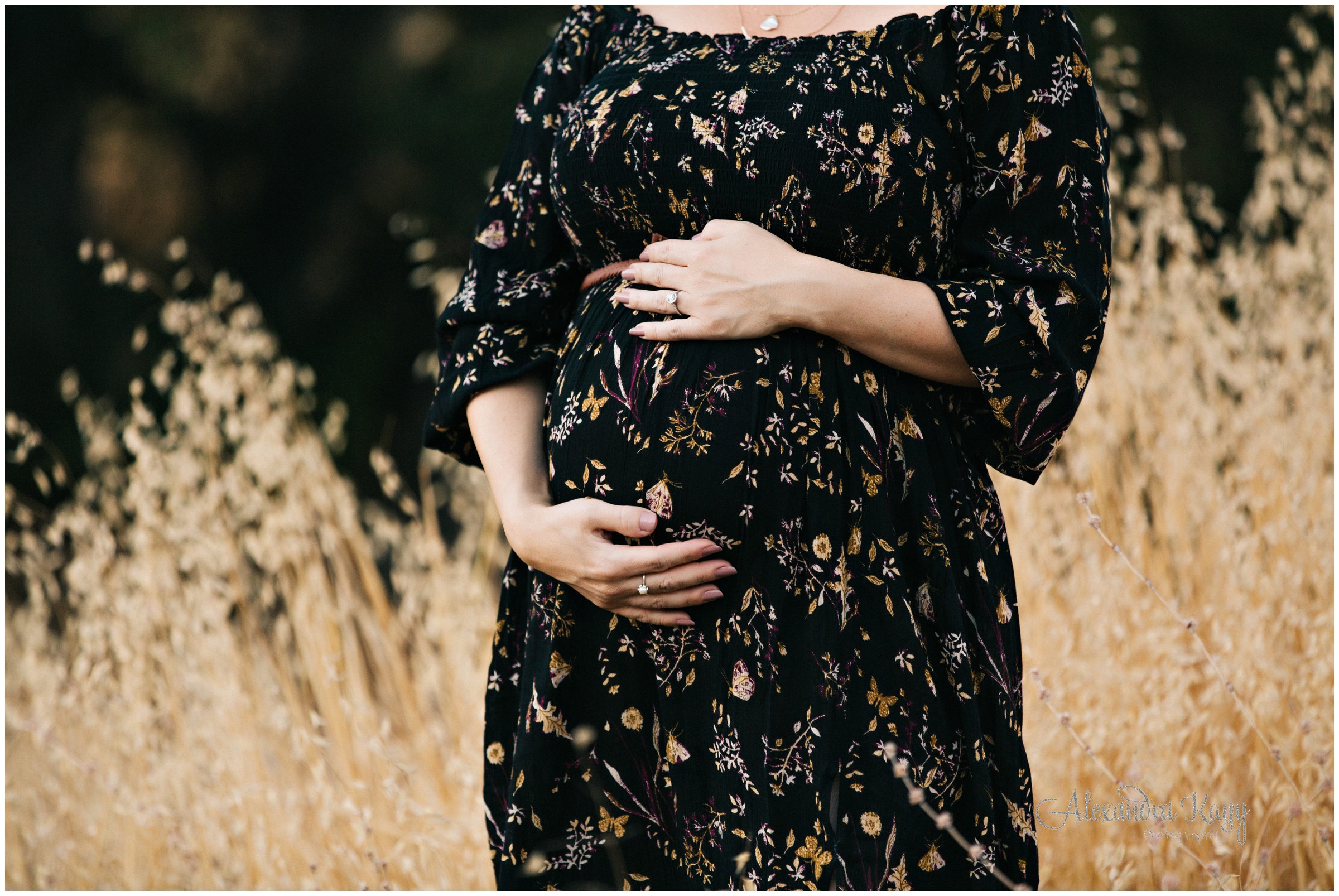 Santa_Clarita_Newborn_photographer_0770.jpg