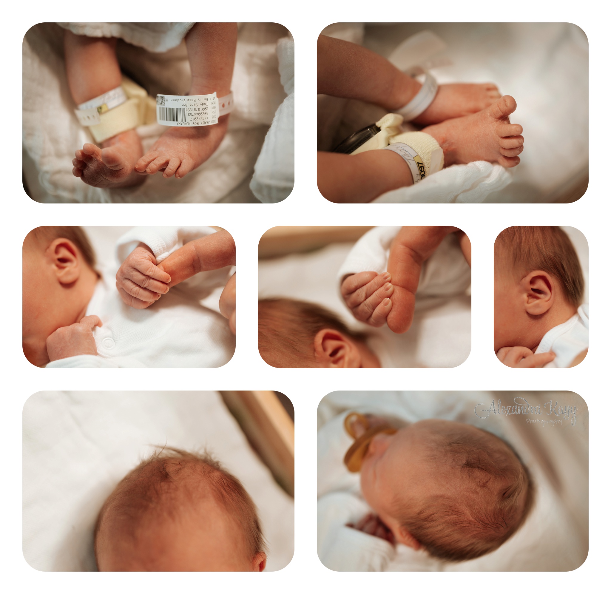 Santa Monica Hospital Session - NEWBORN Photographer Alexandra Kayy Photography