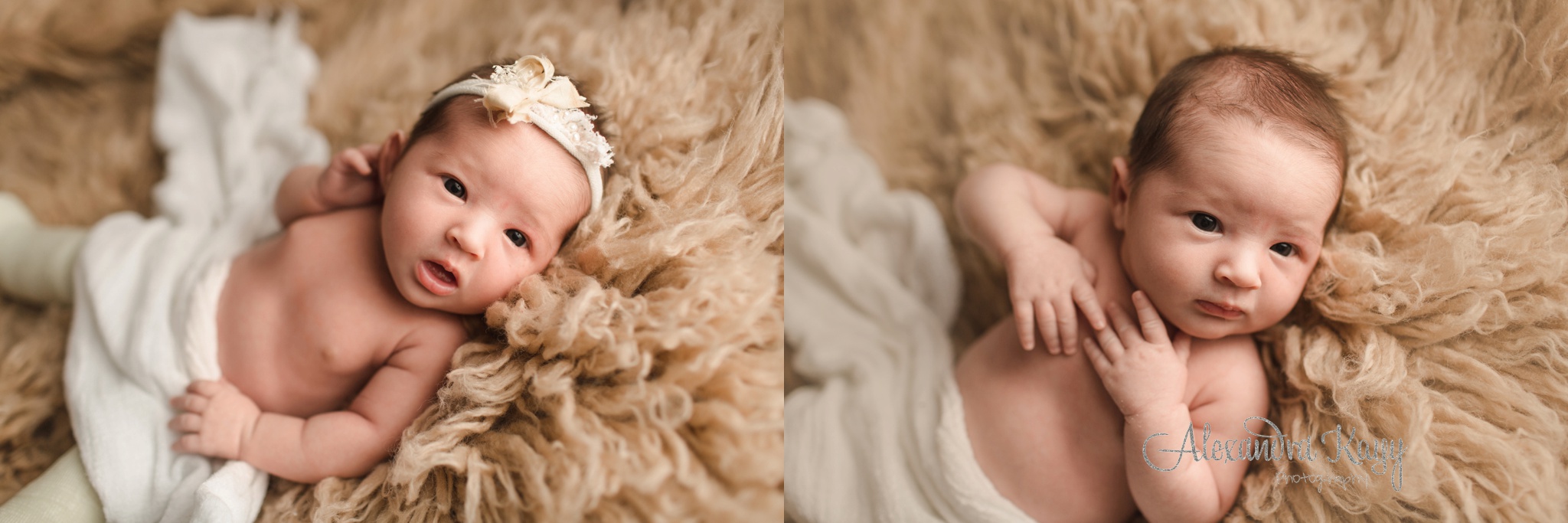 Mesa Newborn Photographer