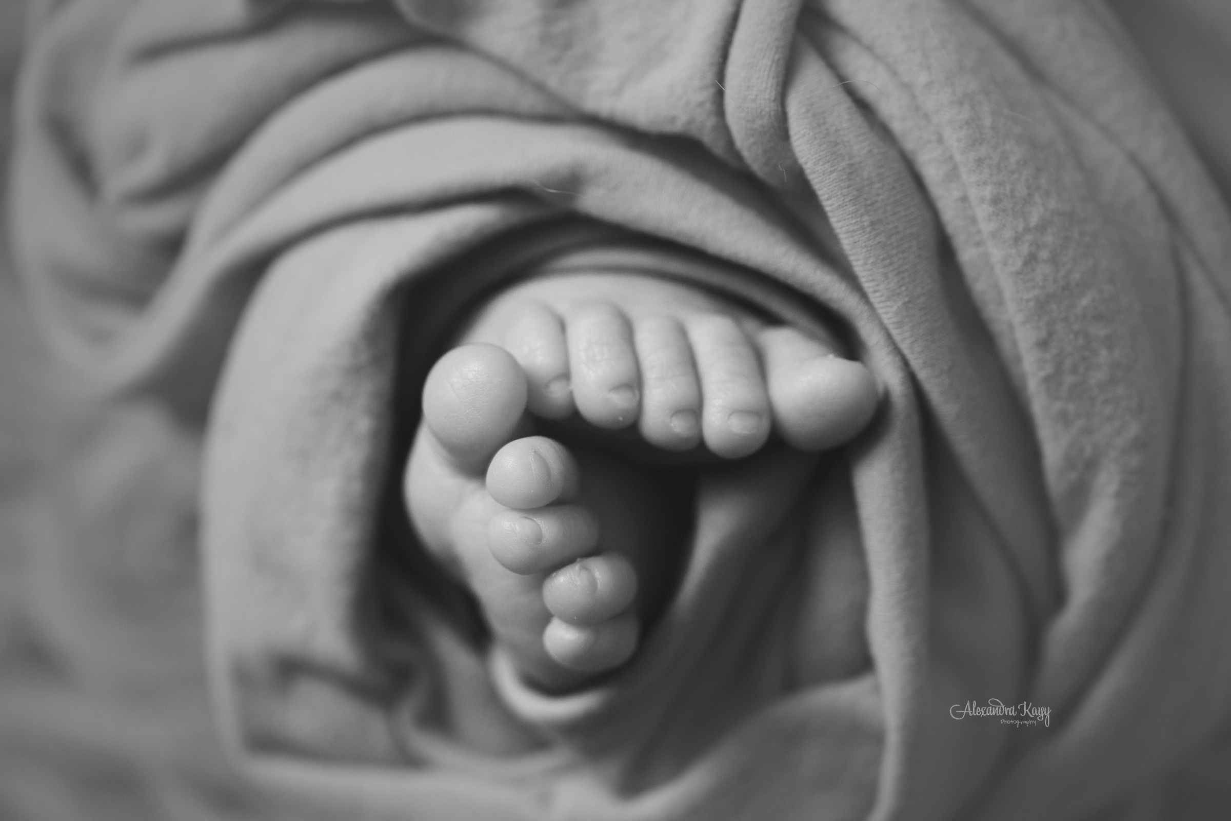 LA_Newborn_Photographer_1868.jpg