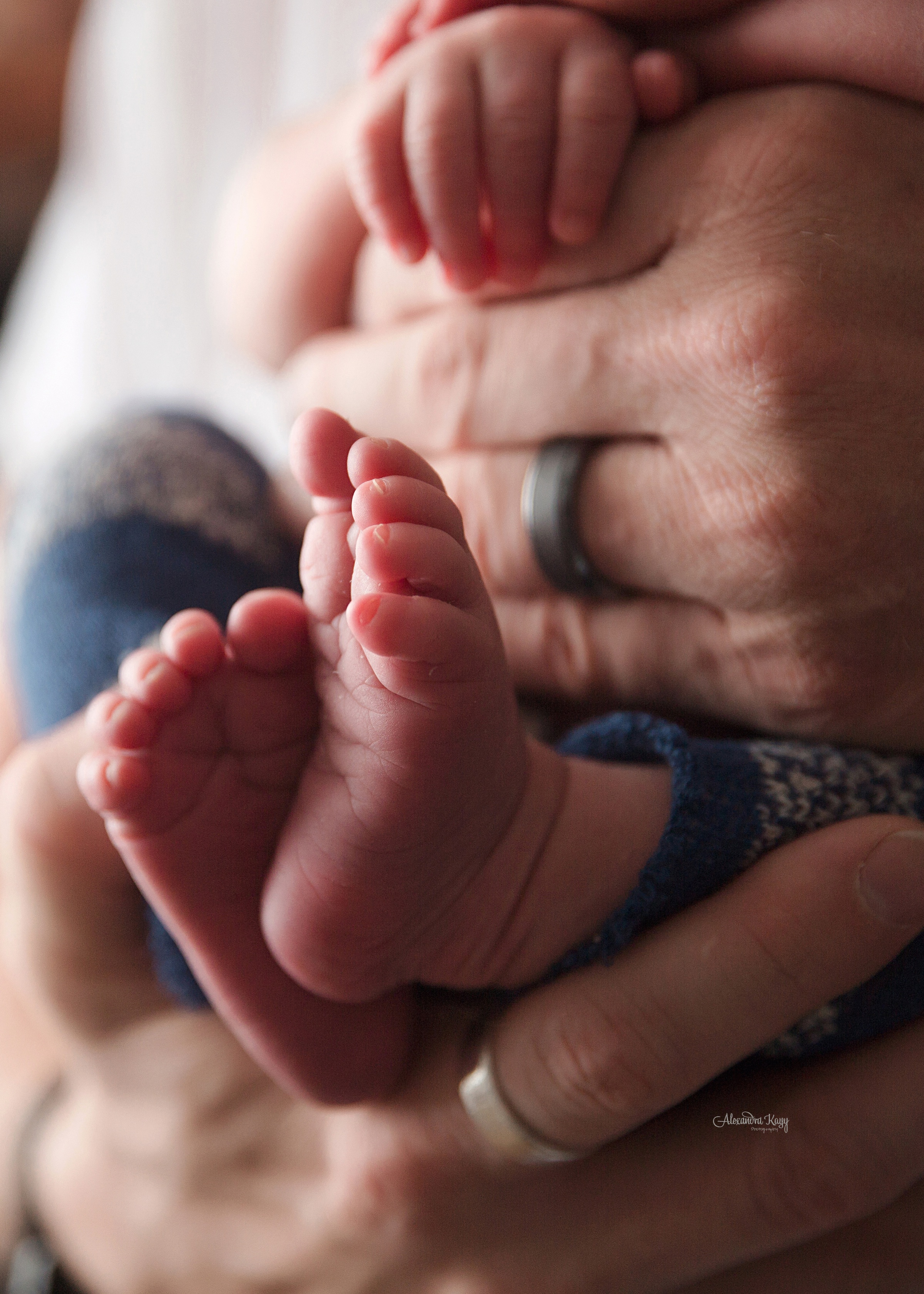 LA_Newborn_Photographer_1890.jpg