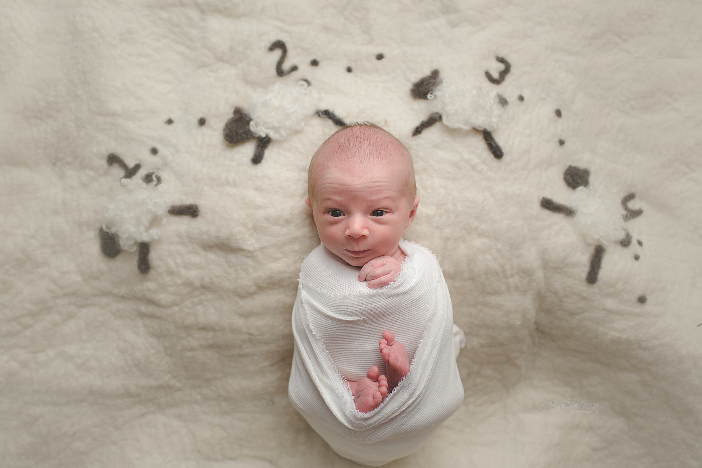 Ventura County Newborn Photographer_0322.jpg