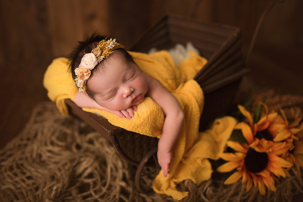 Best Phoenix Newborn Photographer