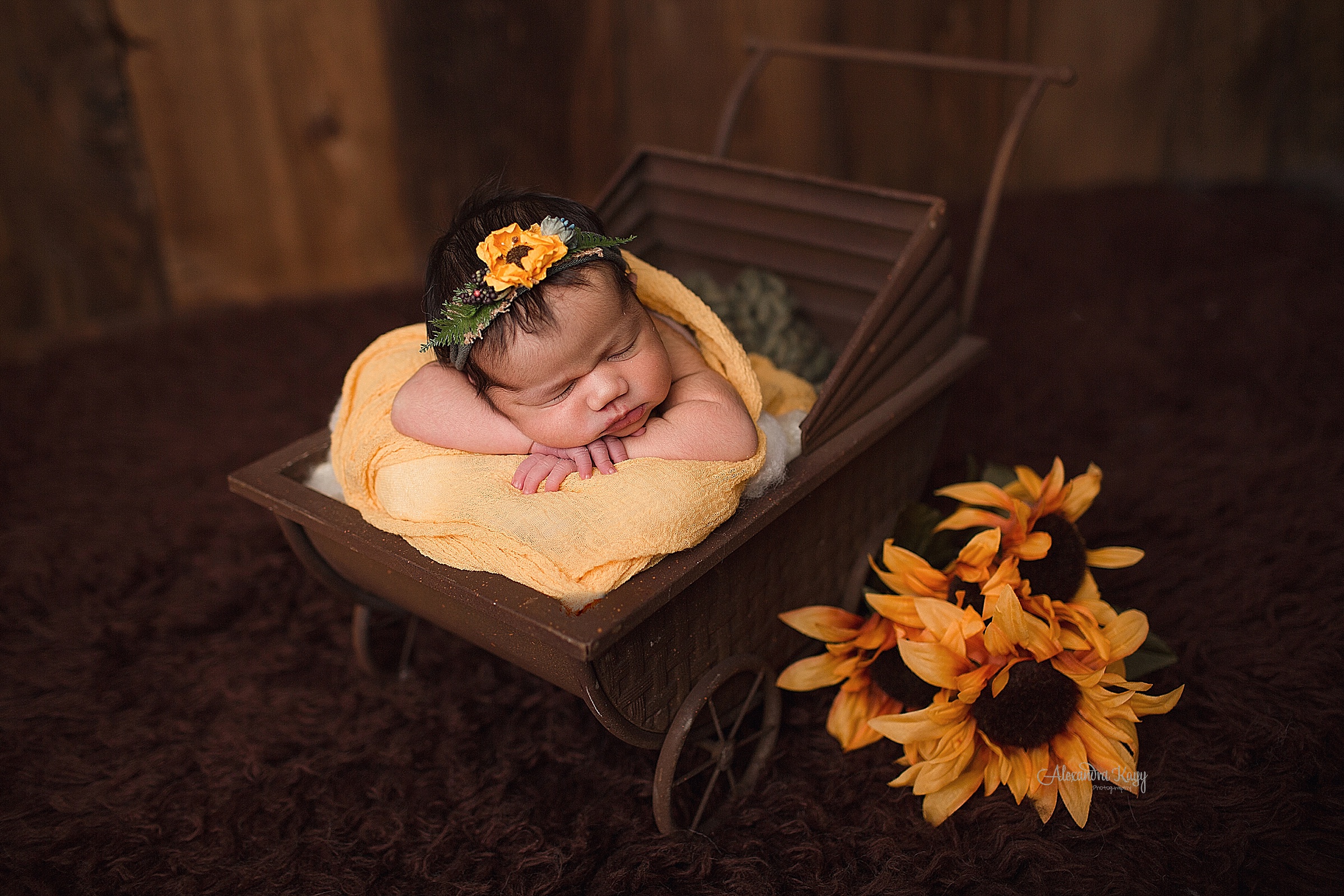 Oxnard Newborn Photographer_0781.jpg