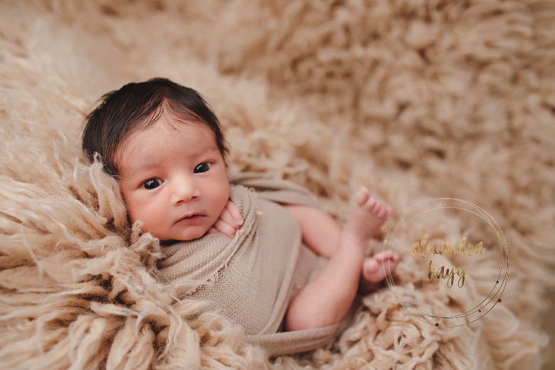 Newborn Photography In Phoenix