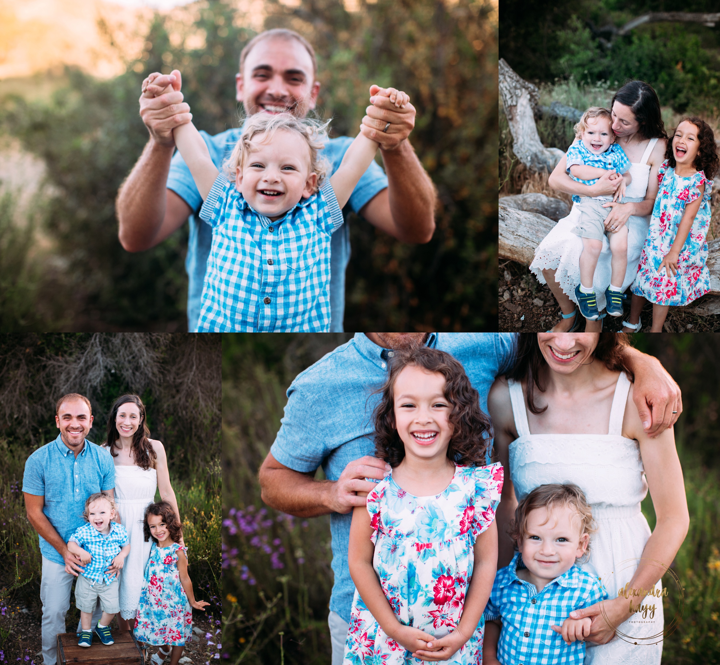 Westlake Village Family Portraits