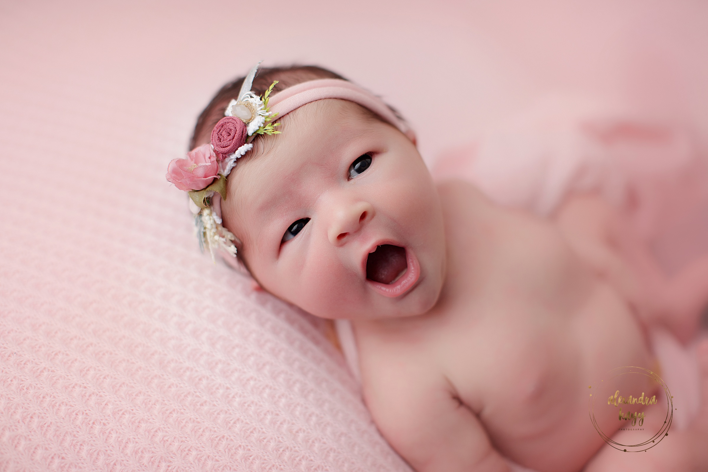 newborn photography queen creek az