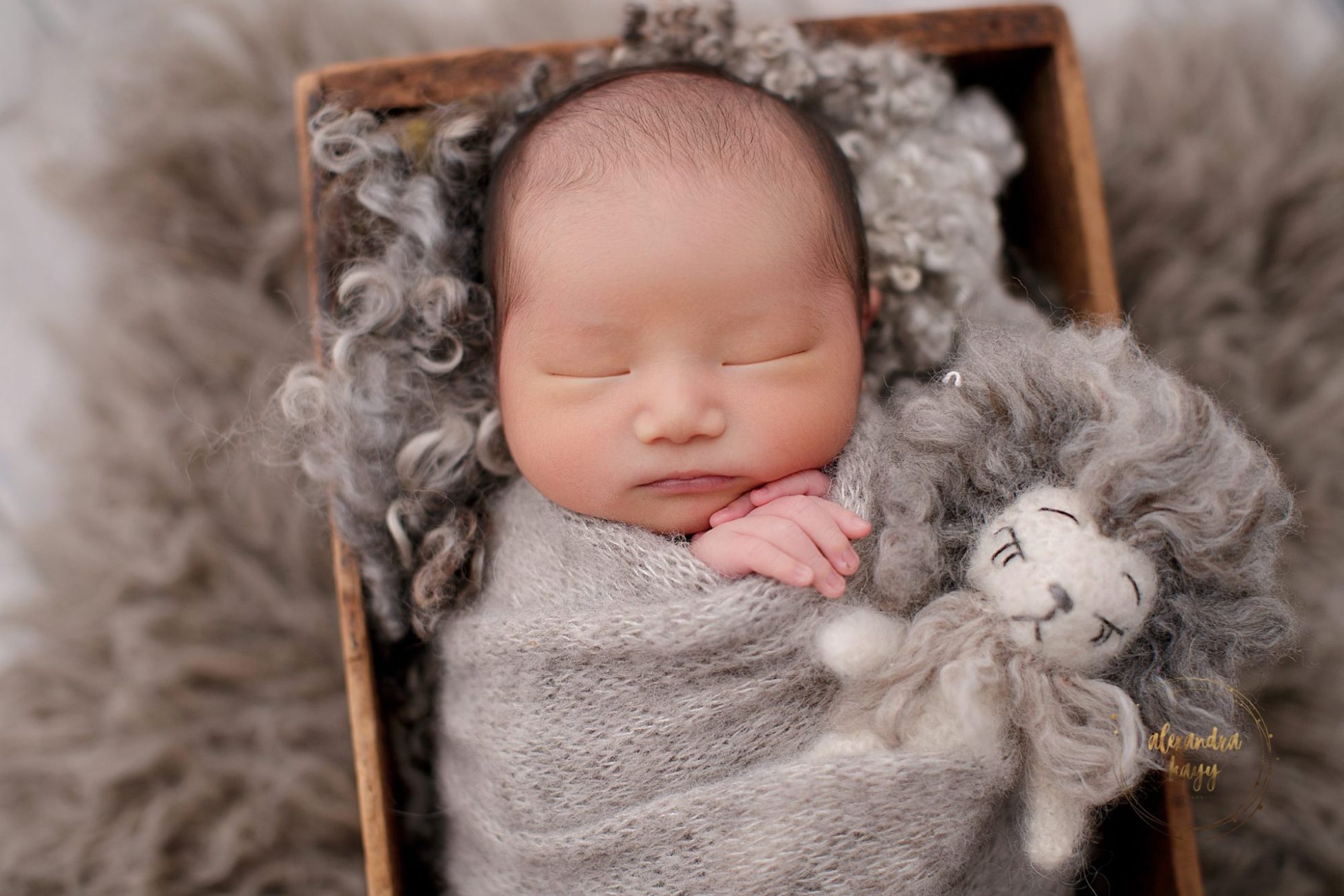 Arizona Newborn Photographer