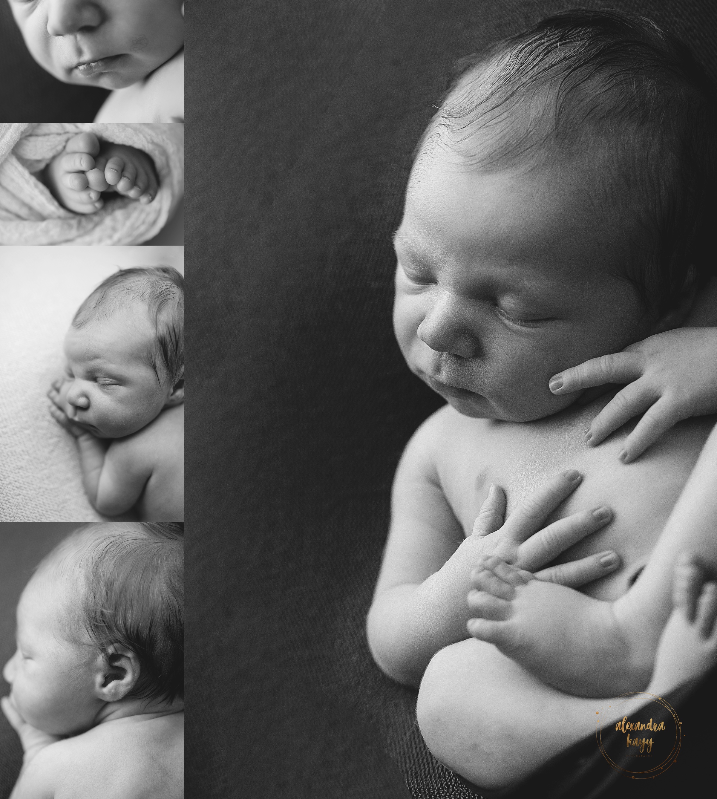 Phoenix Newborn Photographer