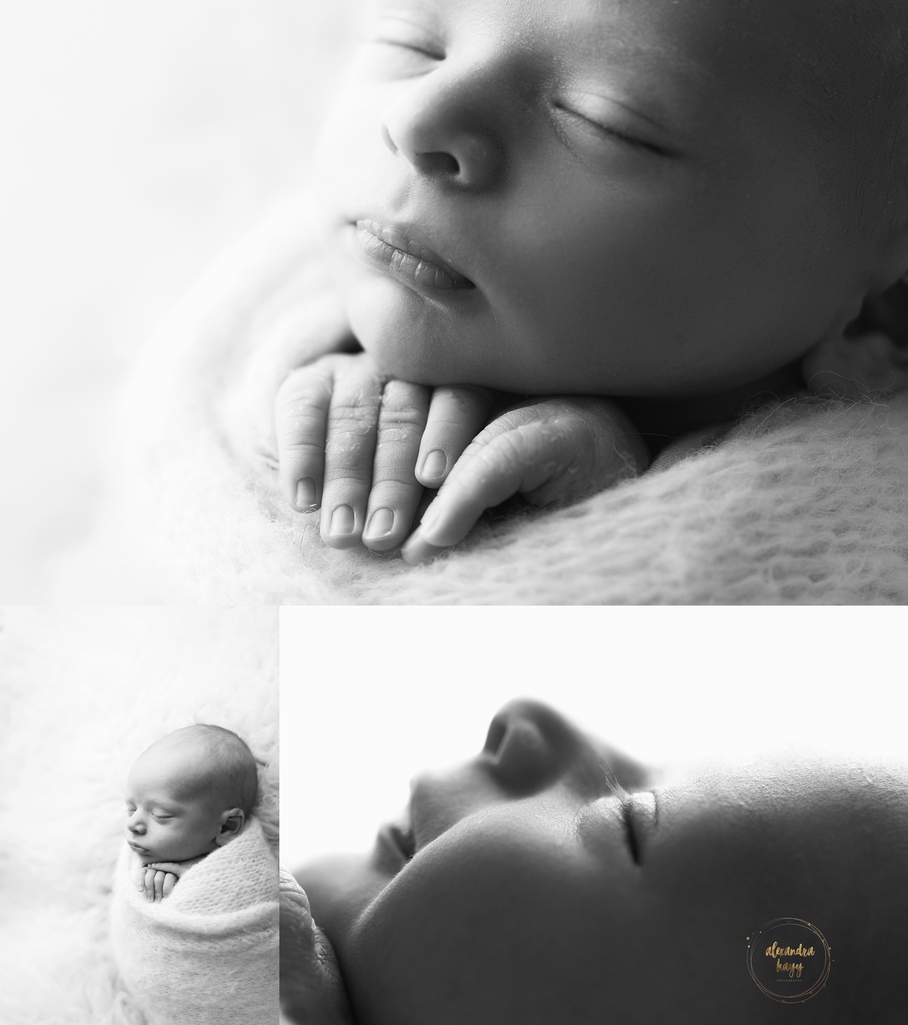 Newborn Photographer in Phoenix AZ