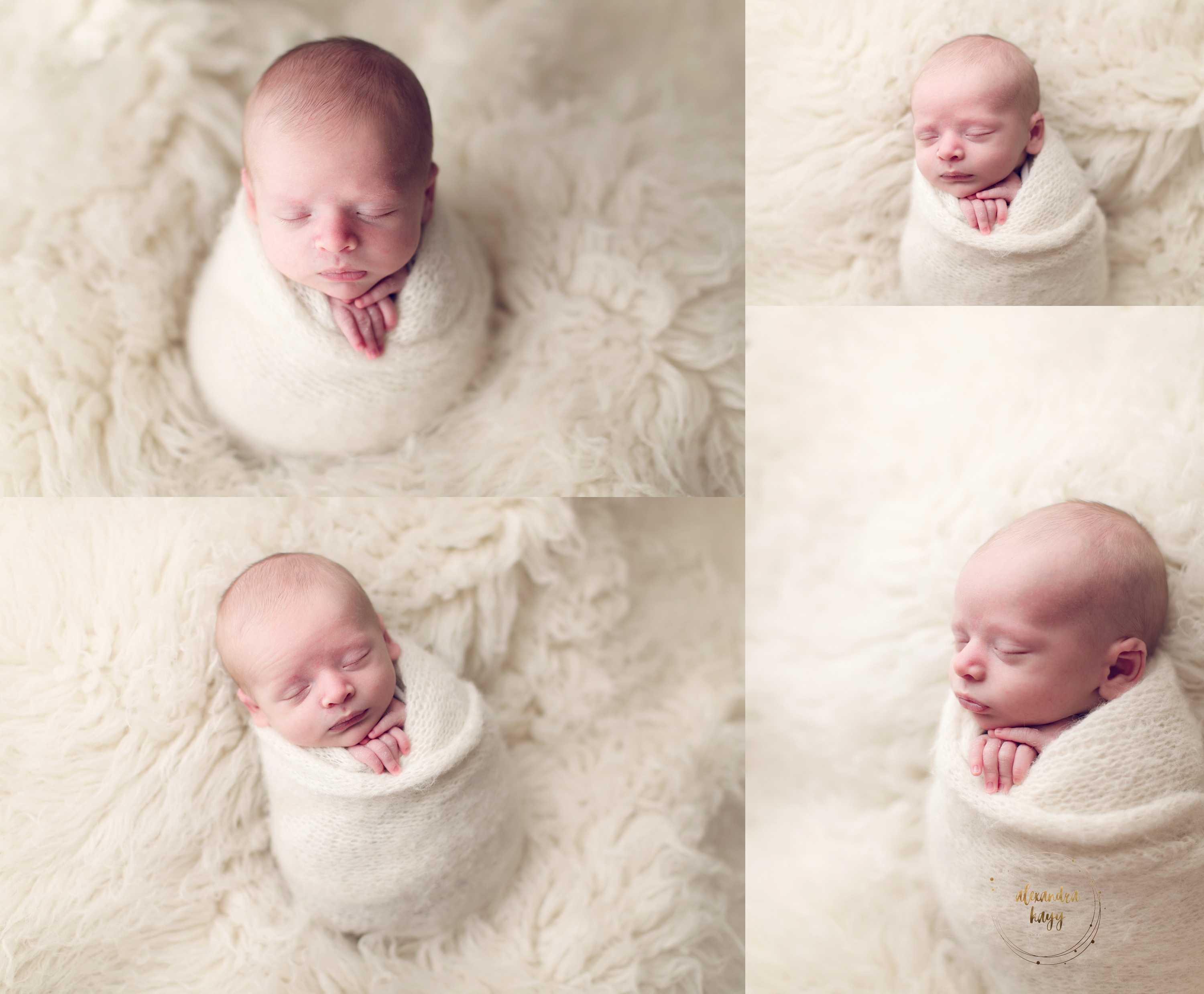 Newborn Photographer in Phoenix AZ