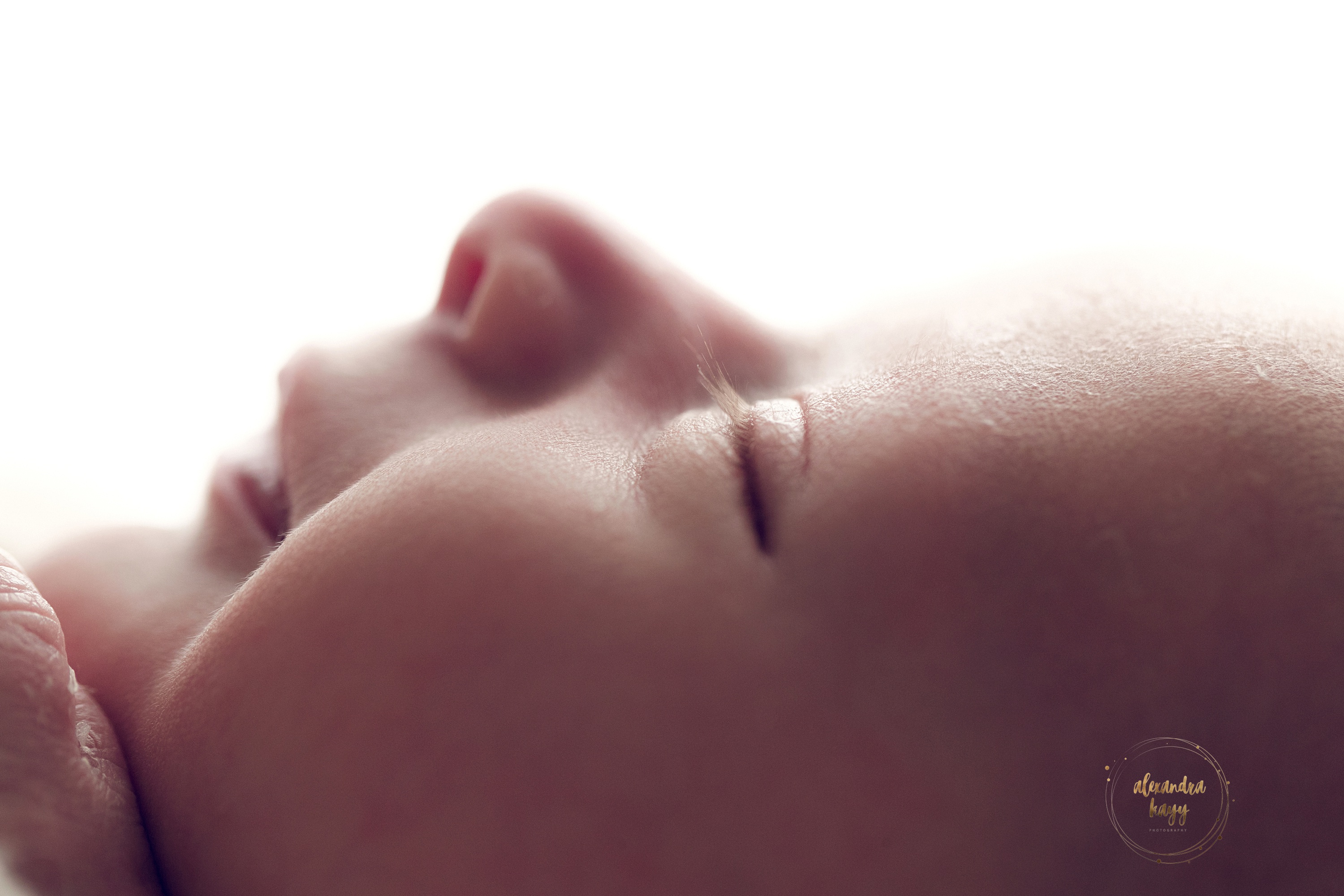 Newborn Photographer in Phoenix AZ