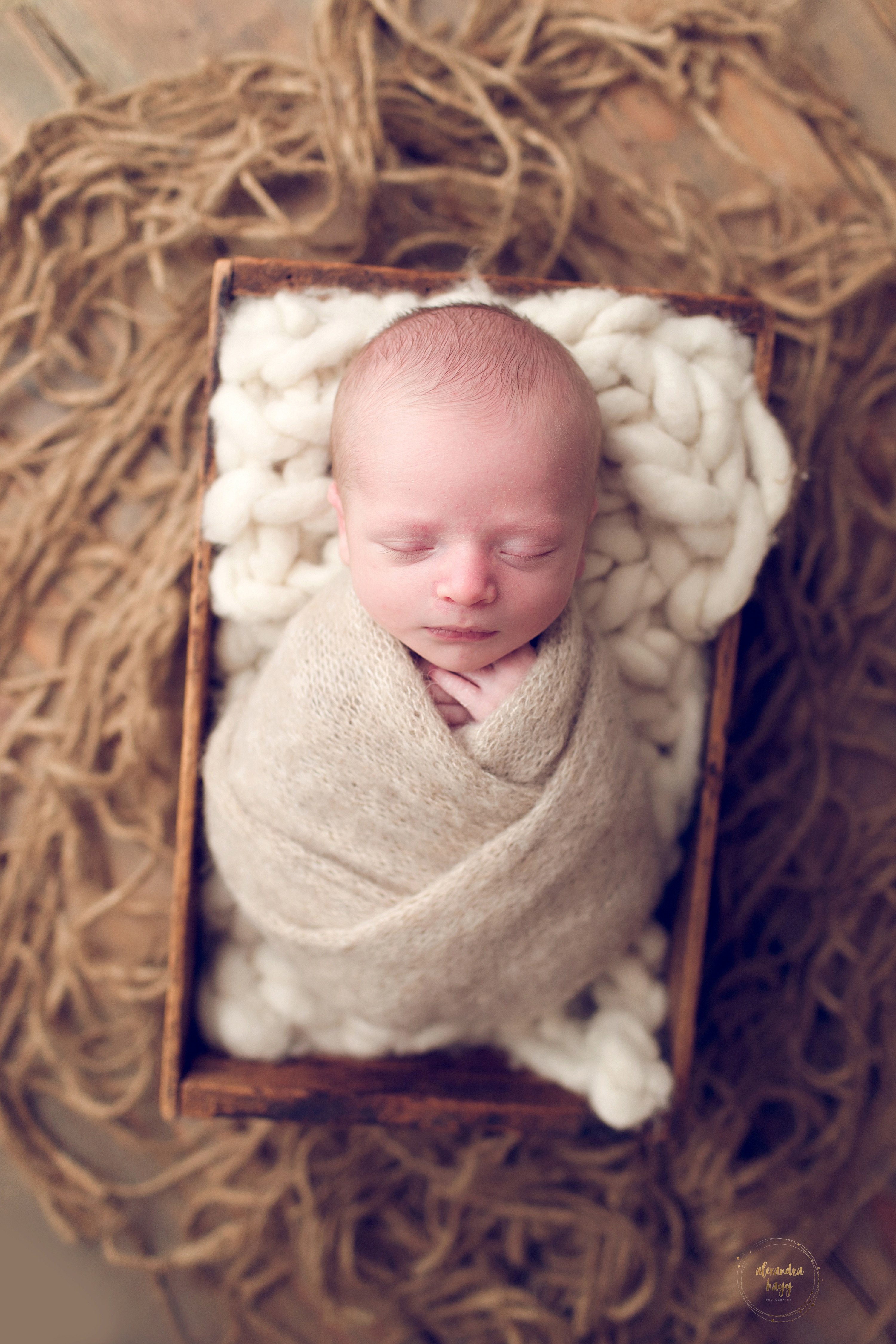 Newborn Photographer in Phoenix AZ