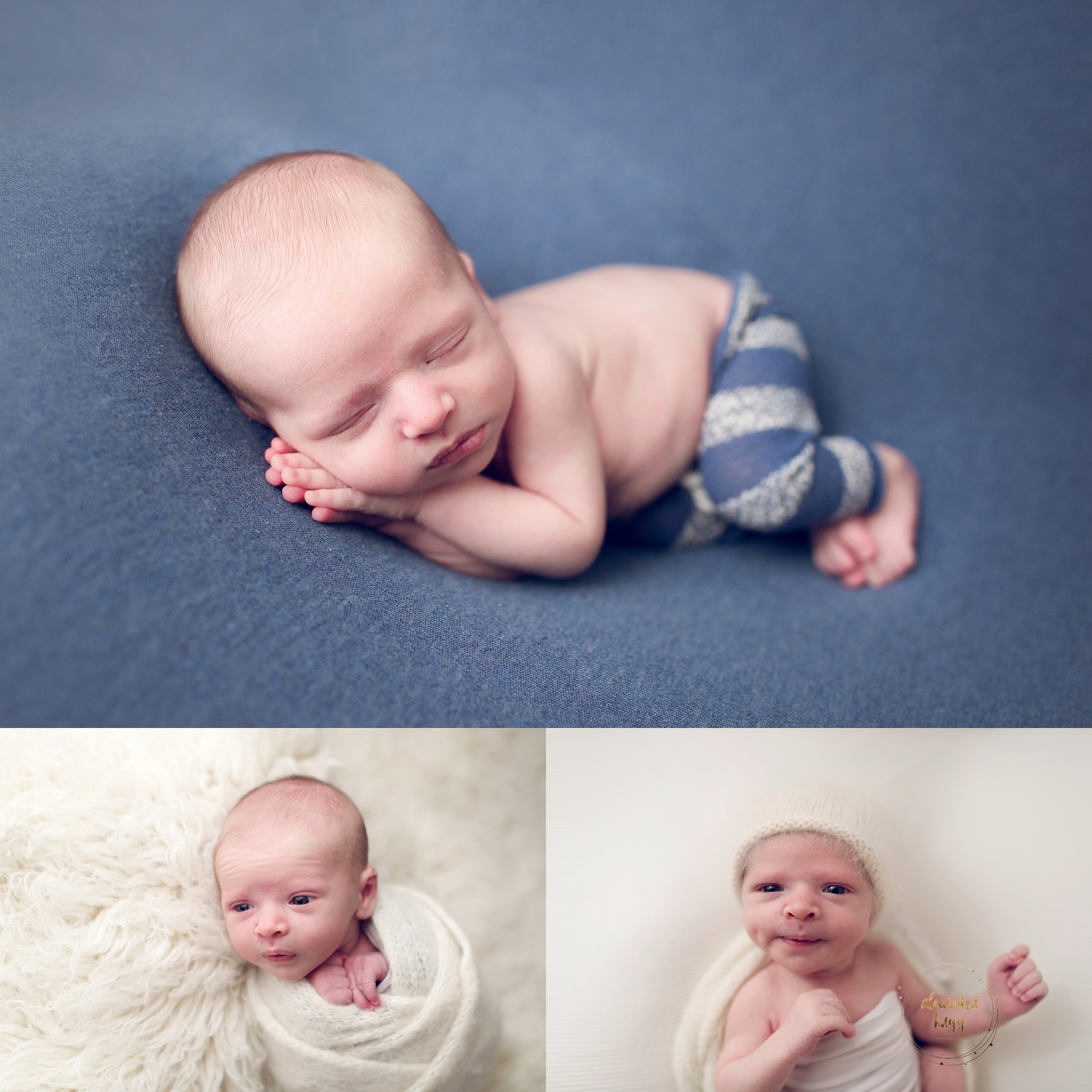 Newborn Photographer in Phoenix AZ