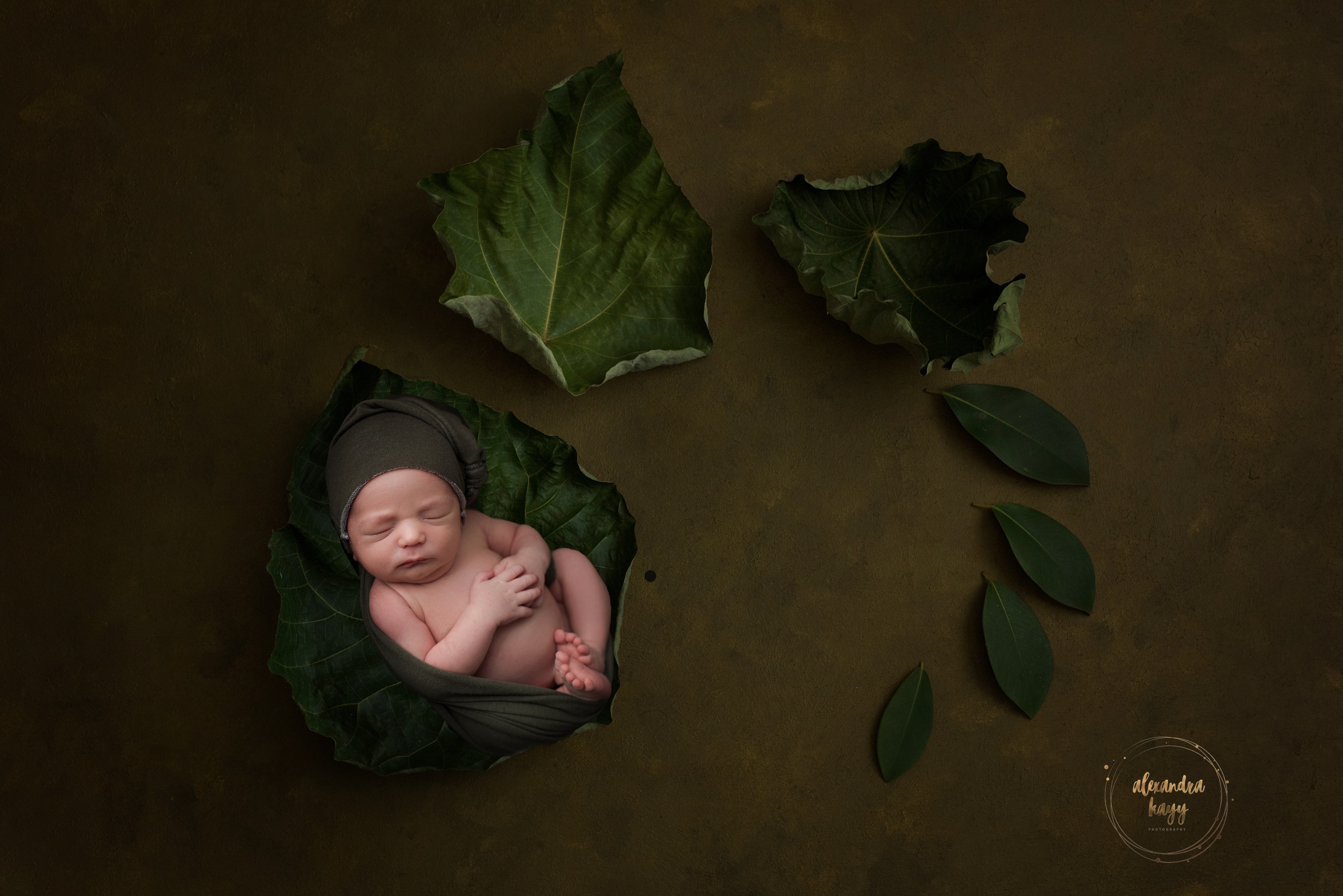 Phoenix Newborn Photographer