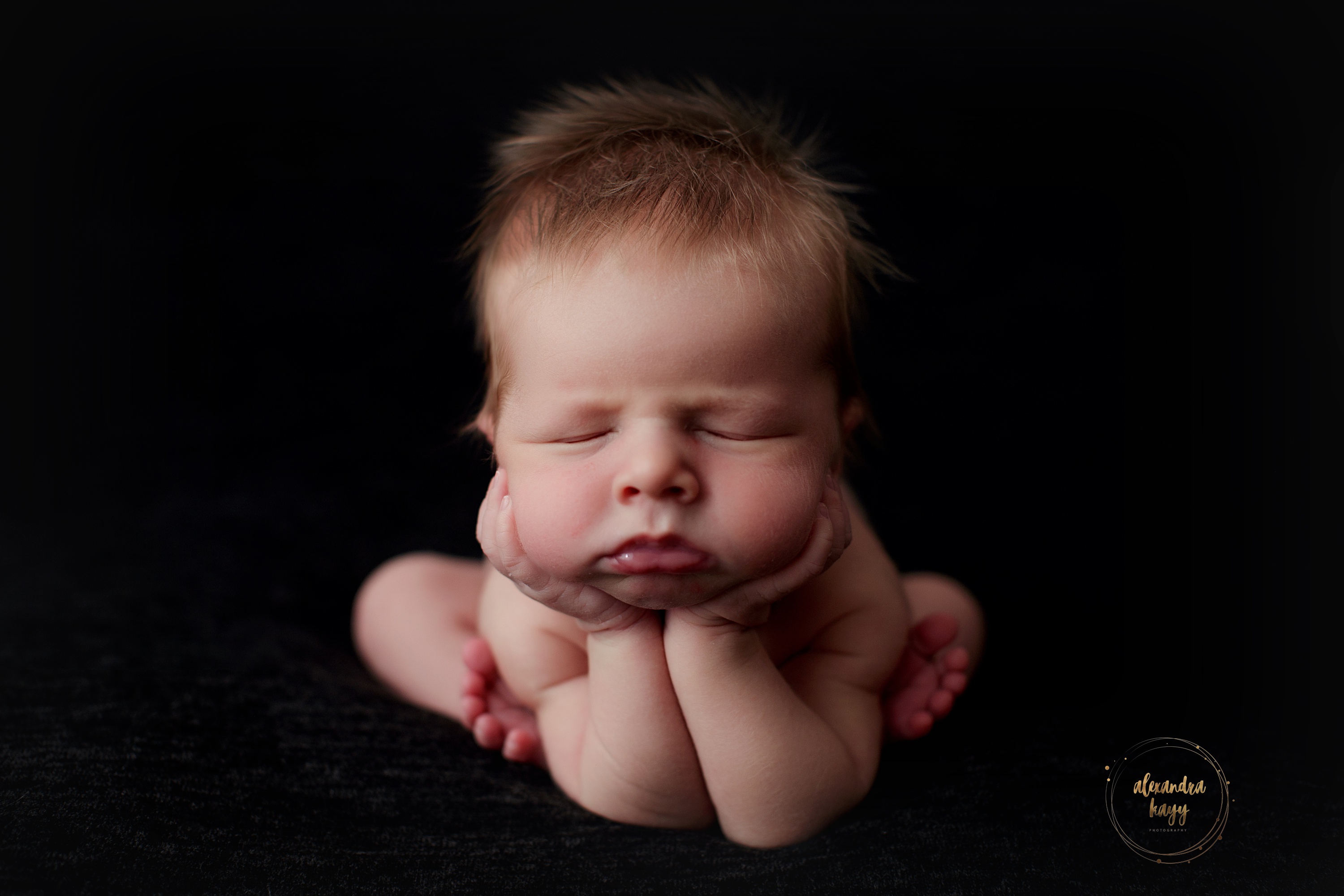  Paradise Valley newborn photographer