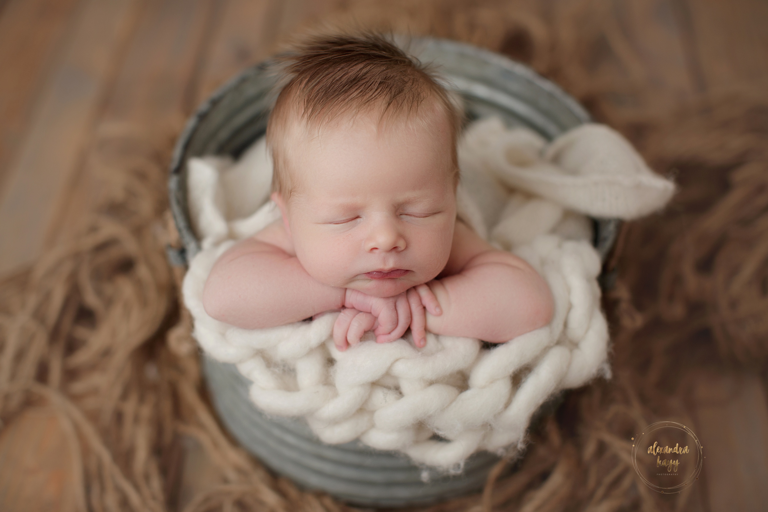  Paradise Valley newborn photographer