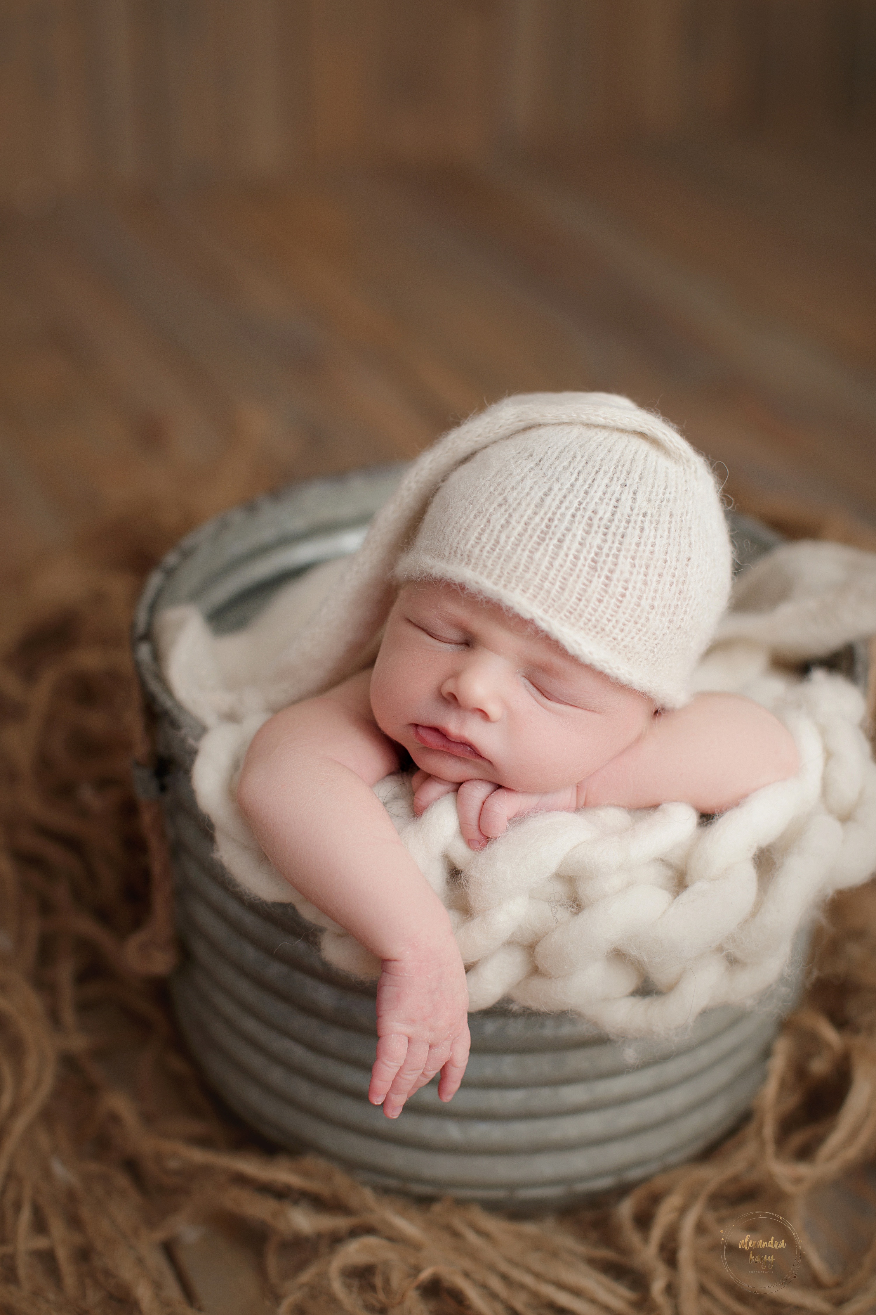  Paradise Valley newborn photographer