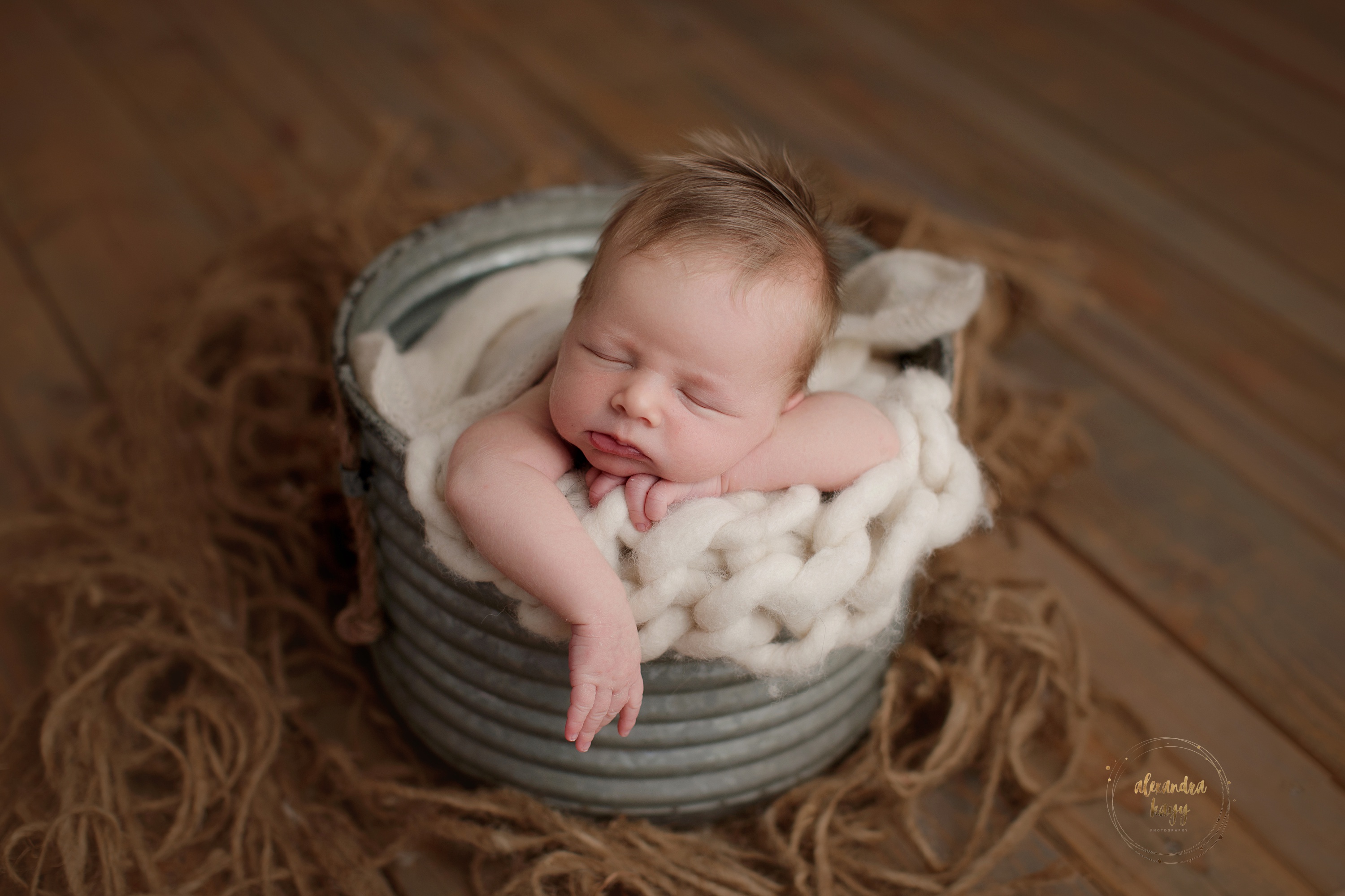  Paradise Valley newborn photographer