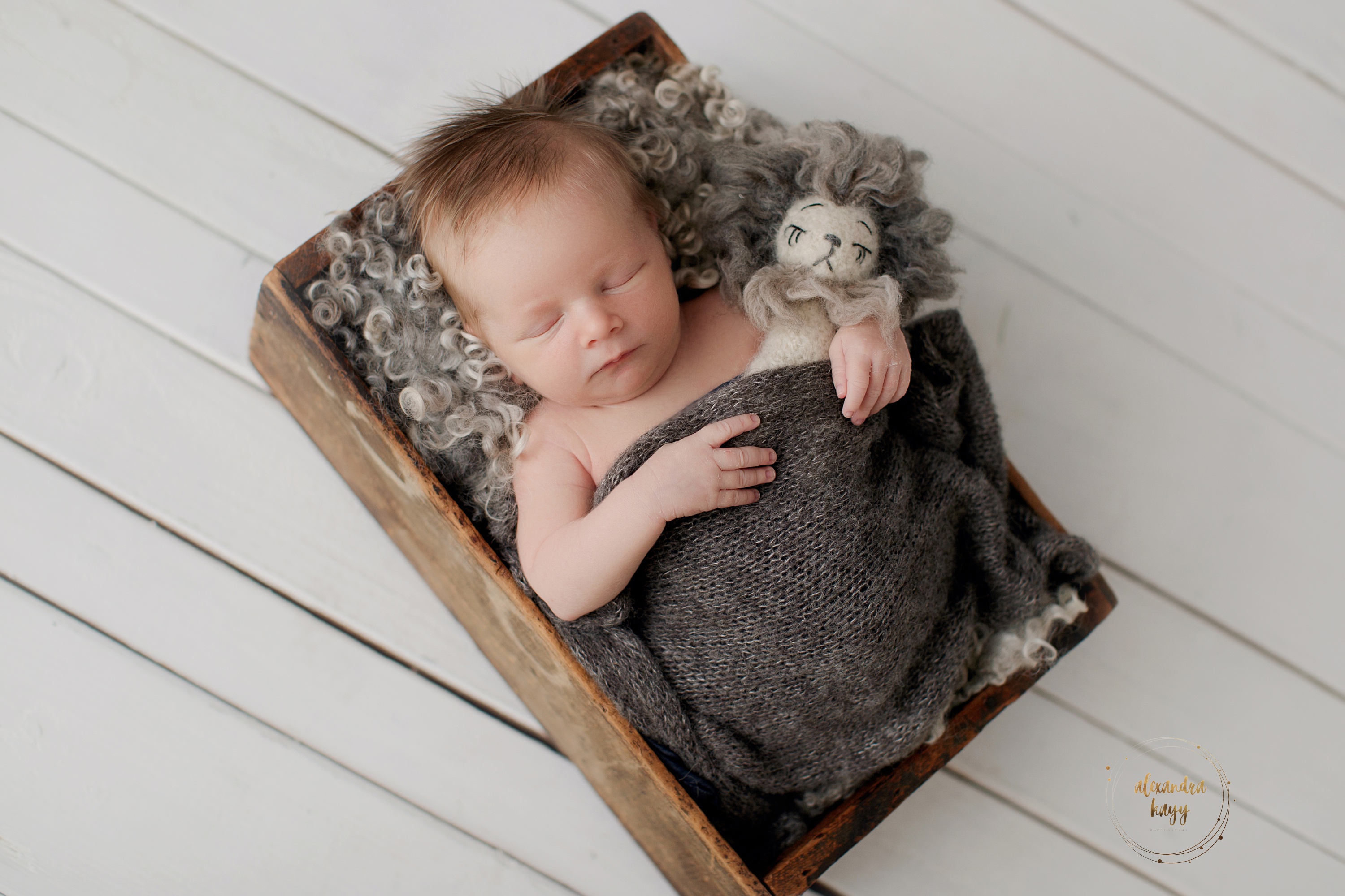  Paradise Valley newborn photographer