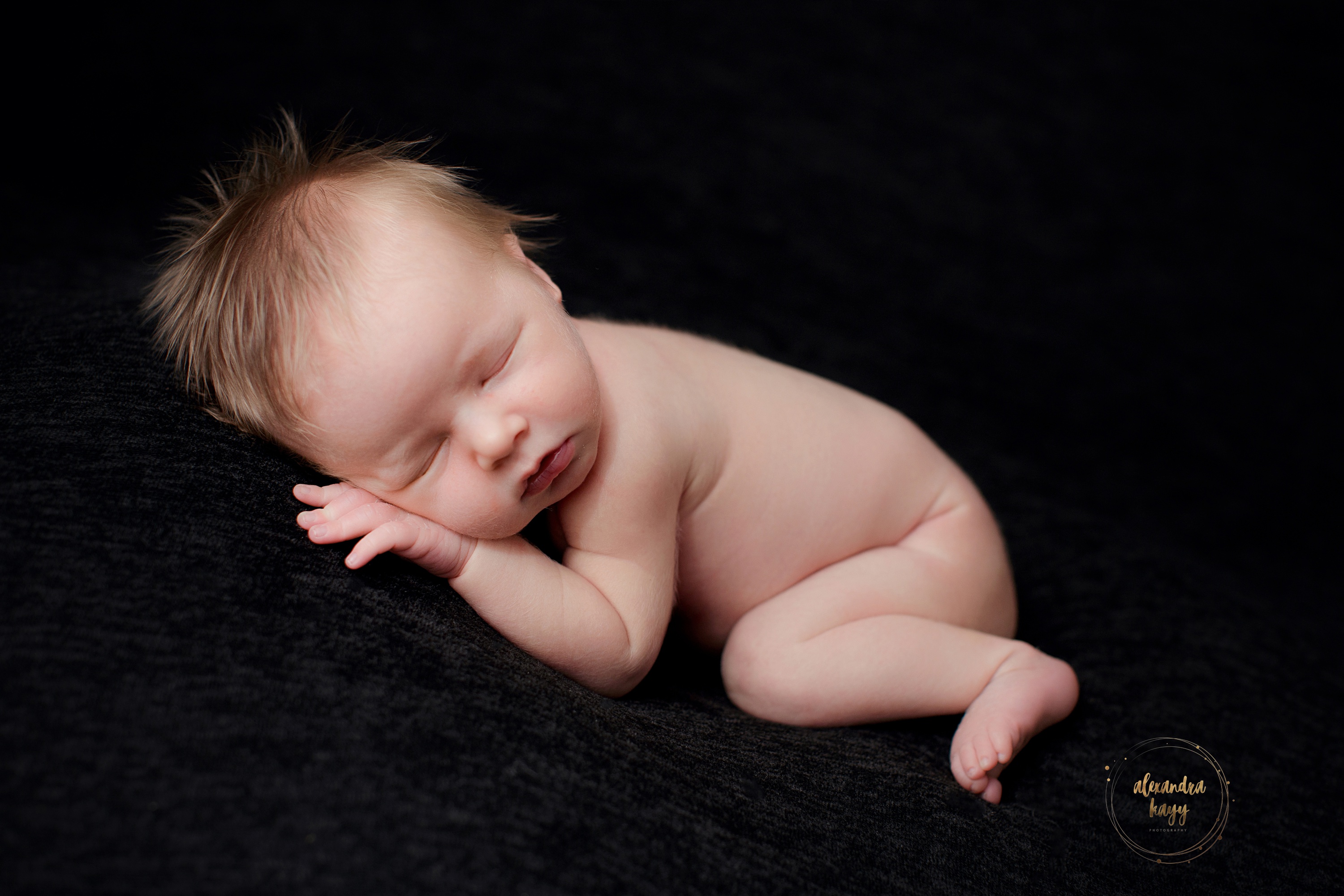  Paradise Valley newborn photographer