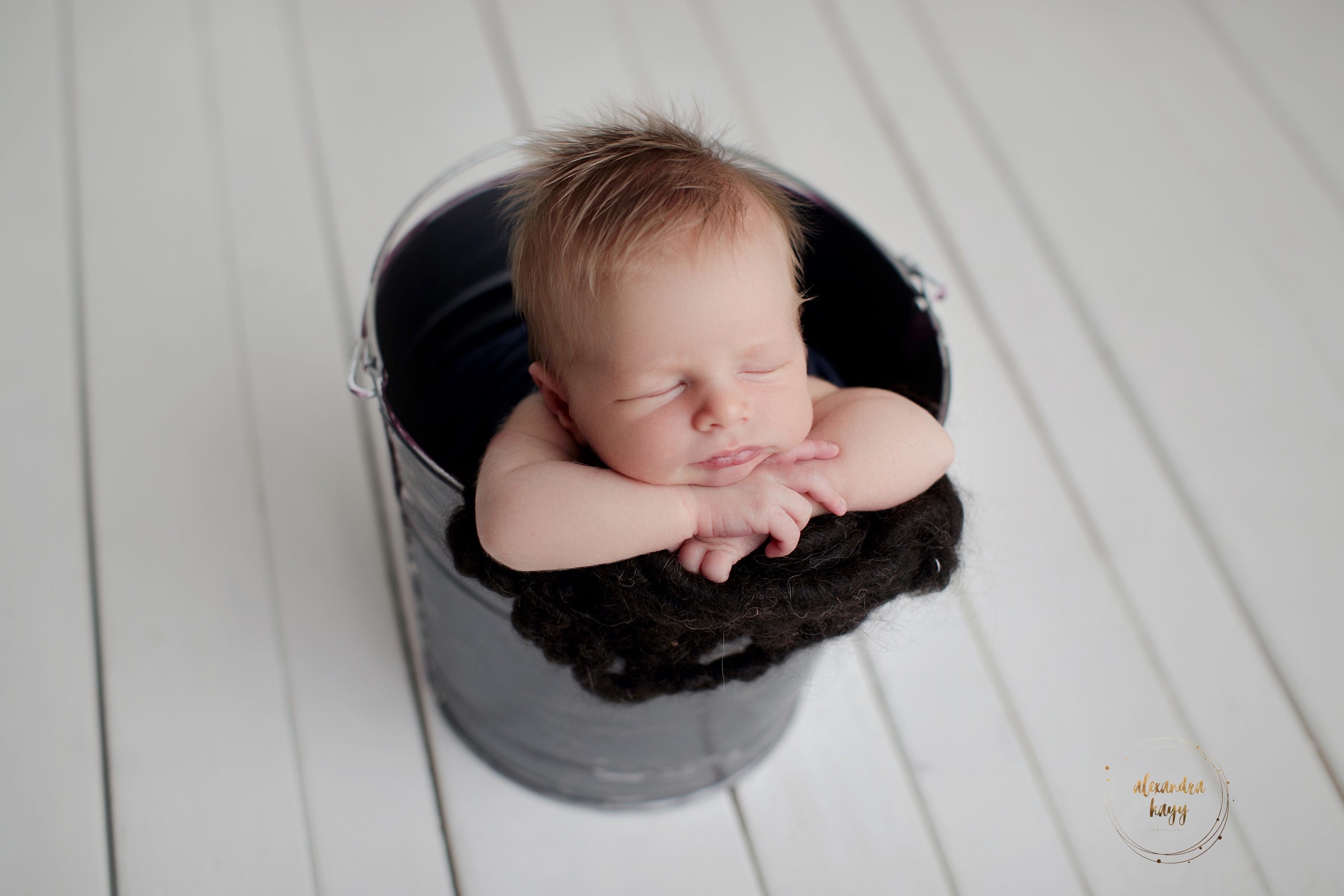  Paradise Valley newborn photographer