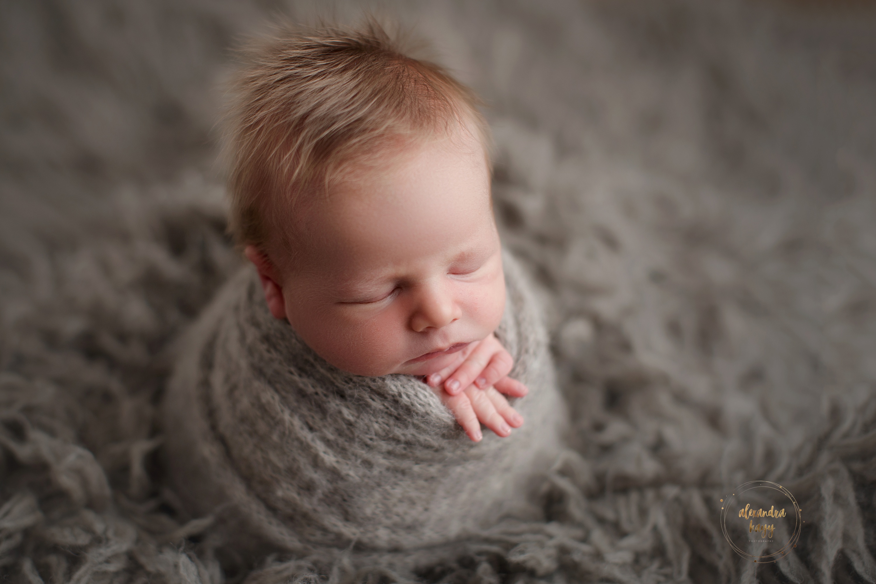  Paradise Valley newborn photographer