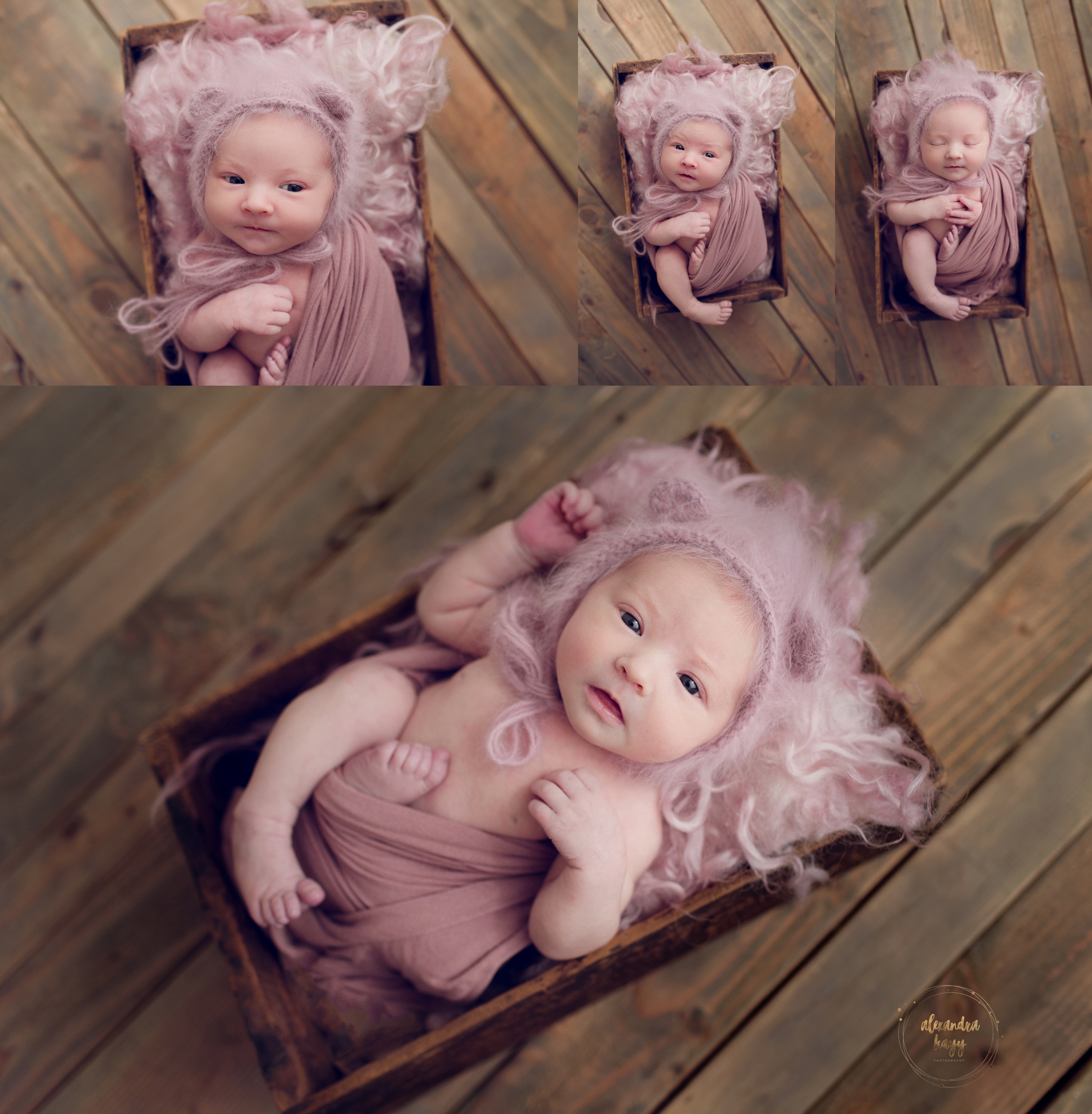 Newborn Photographer Near Me