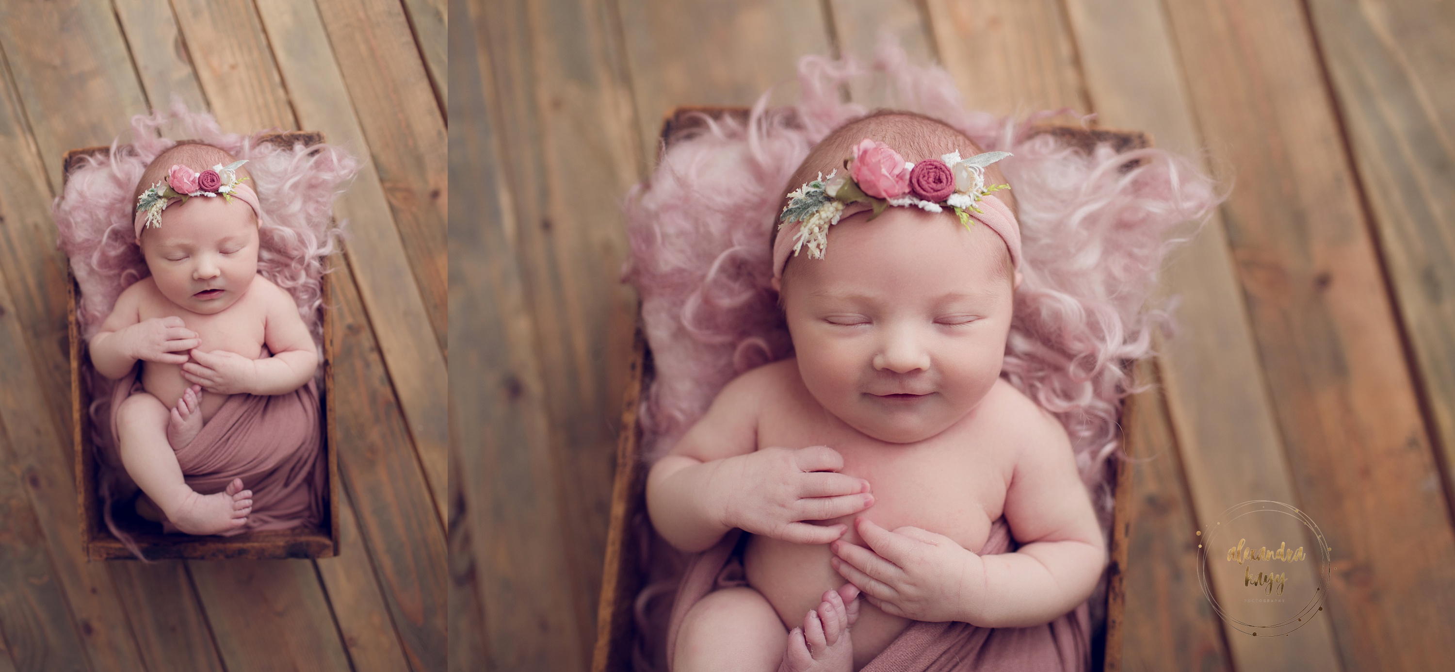 Newborn Photographer Near Me