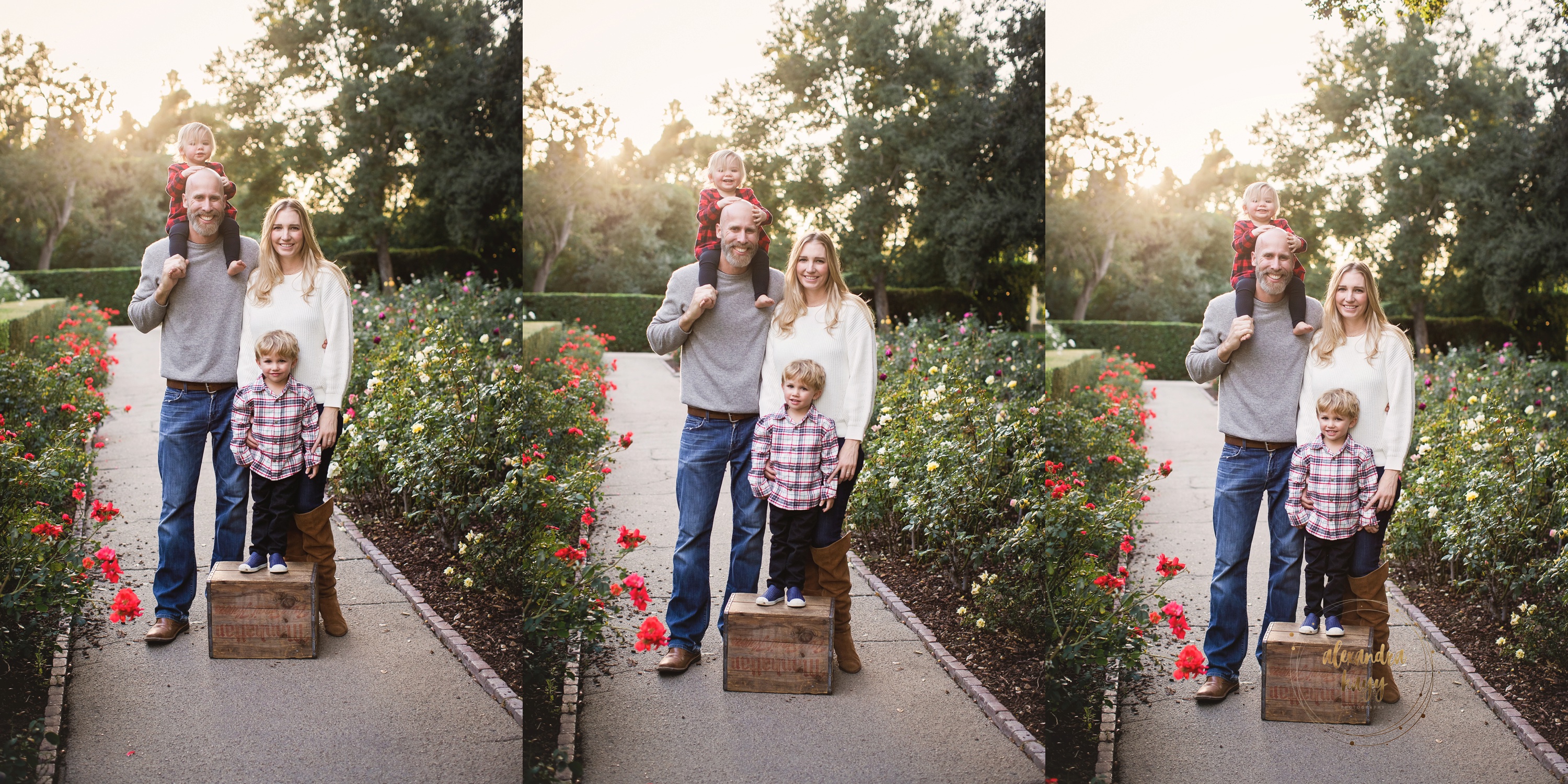 Granada Hills Family Photographer