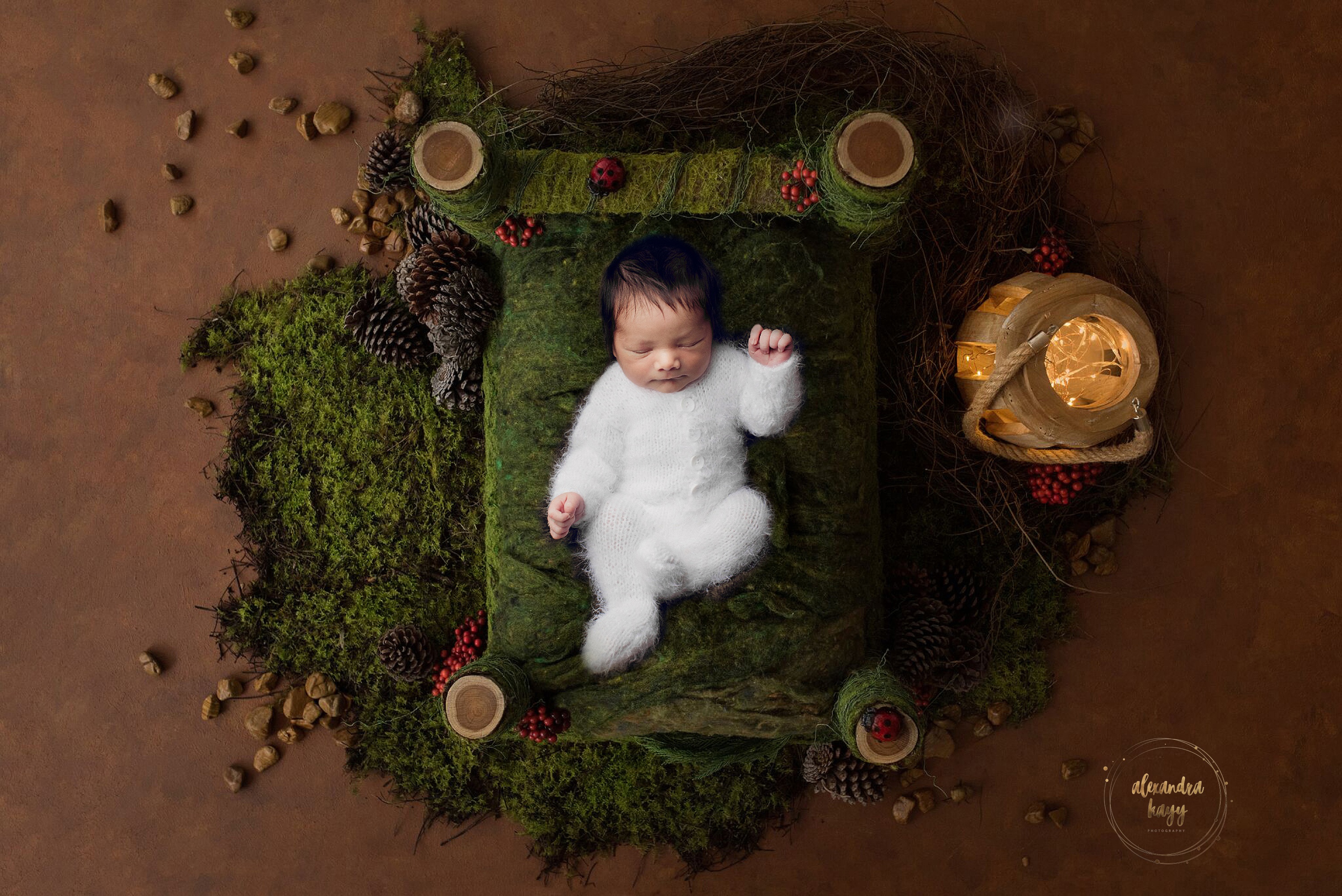 Gael- Peoria, AZ Newborn Portrait Session