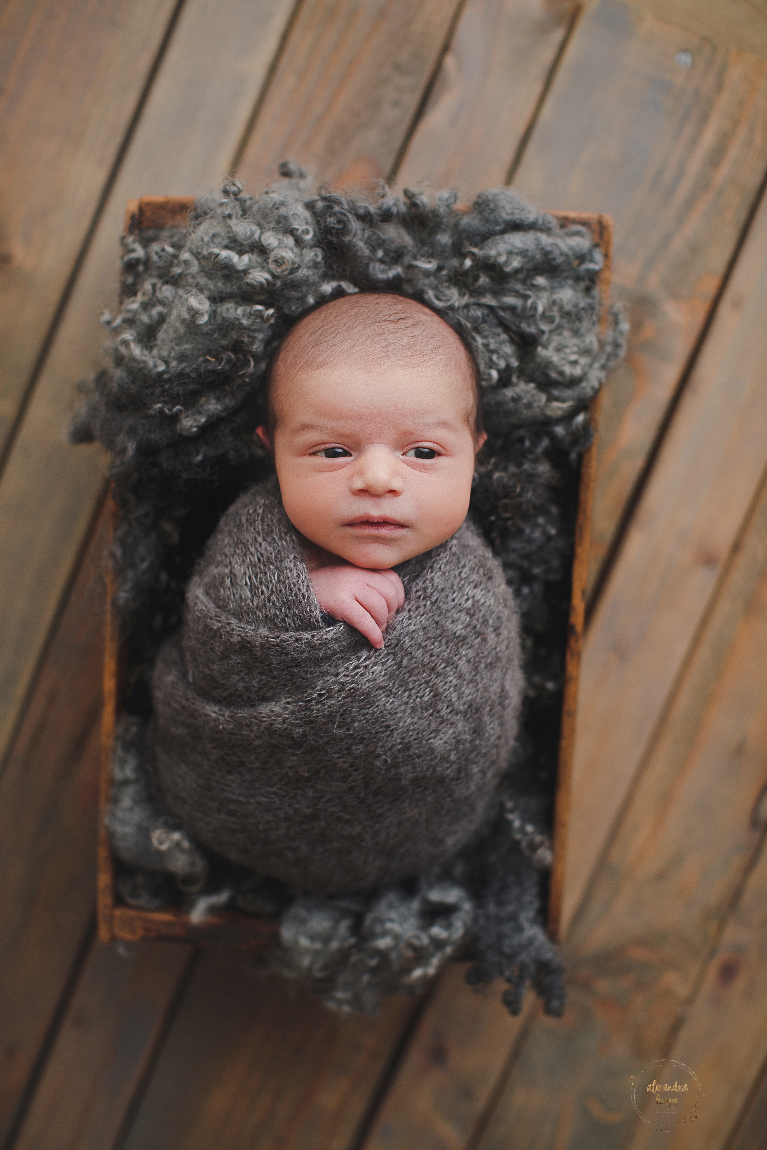 Glendale, AZ Newborn Baby Boy Portrait Session