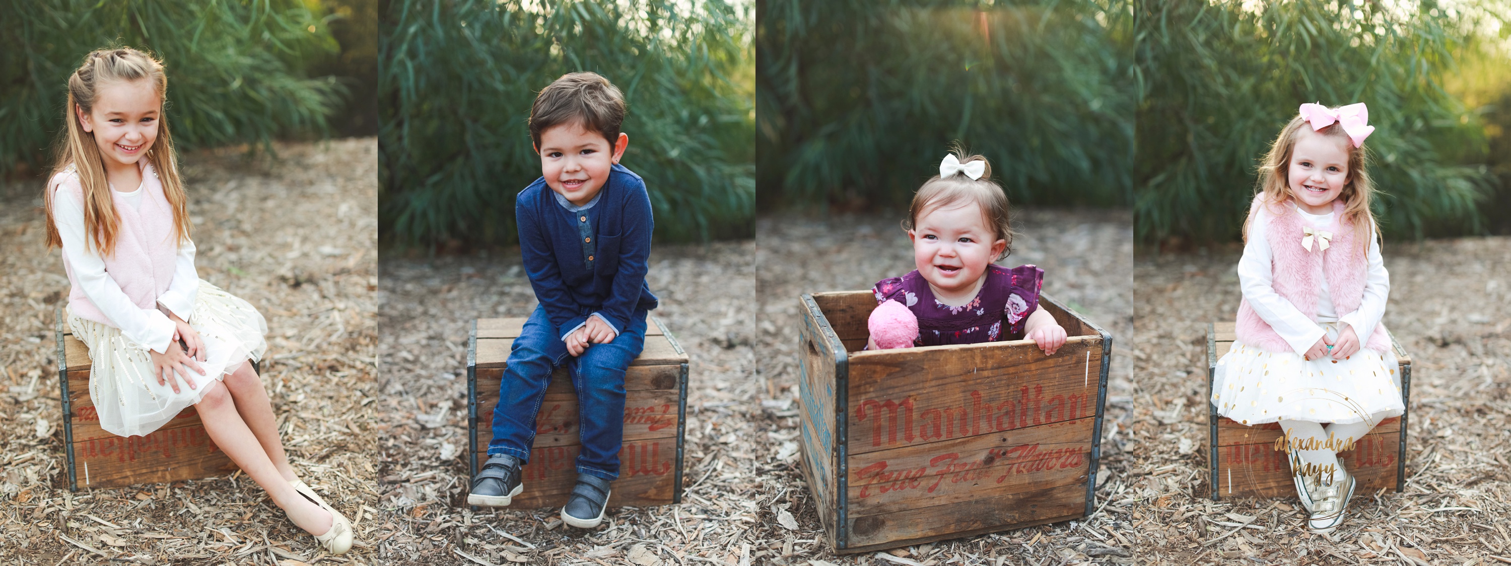 Queen Creek Family Photographer