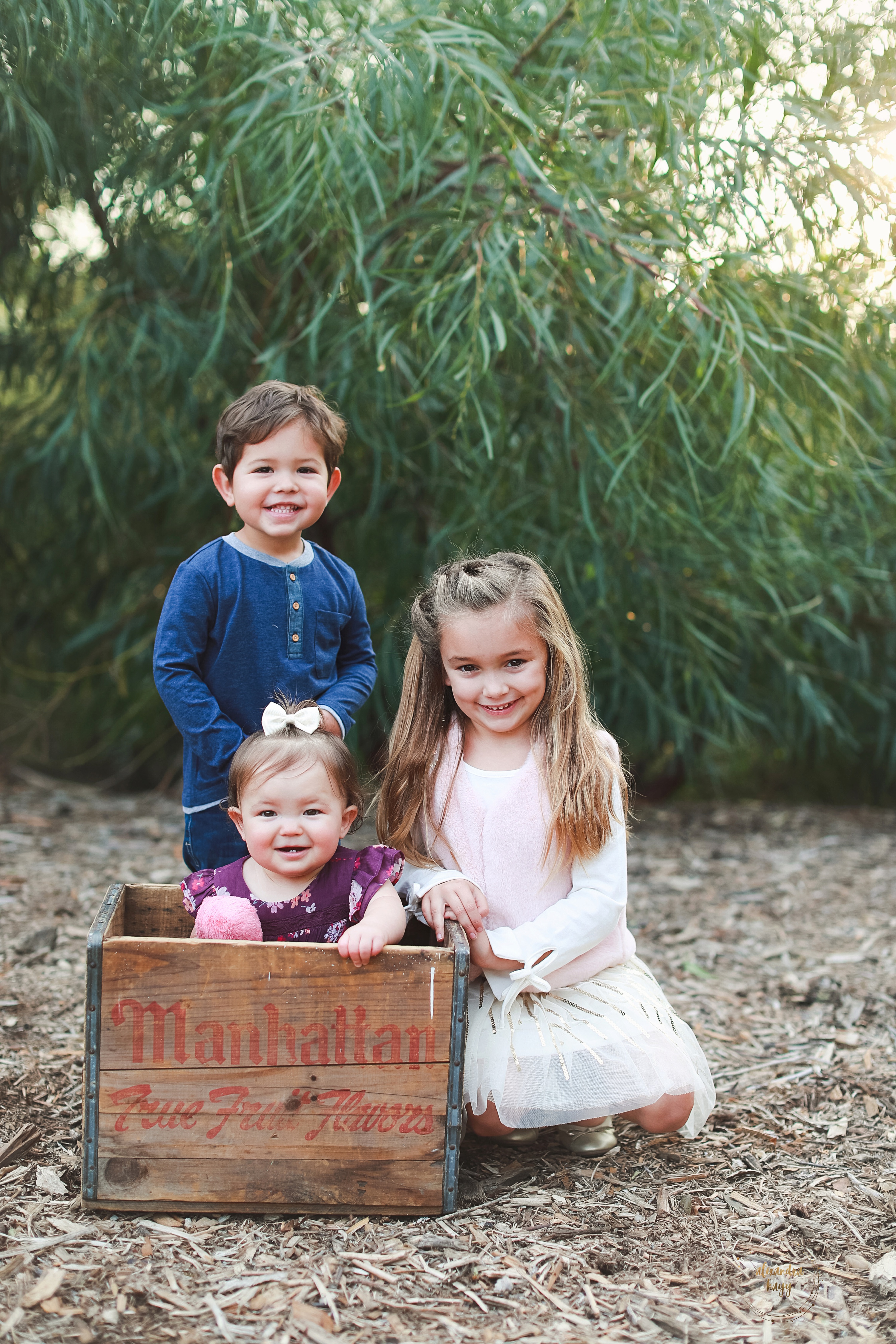 Queen Creek Family Photographer